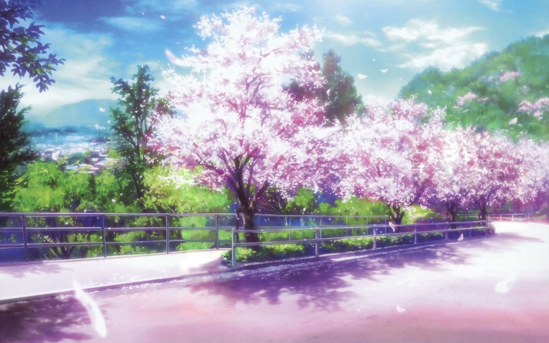 1920x1200 Anime Cherry Blossom Background, Desktop