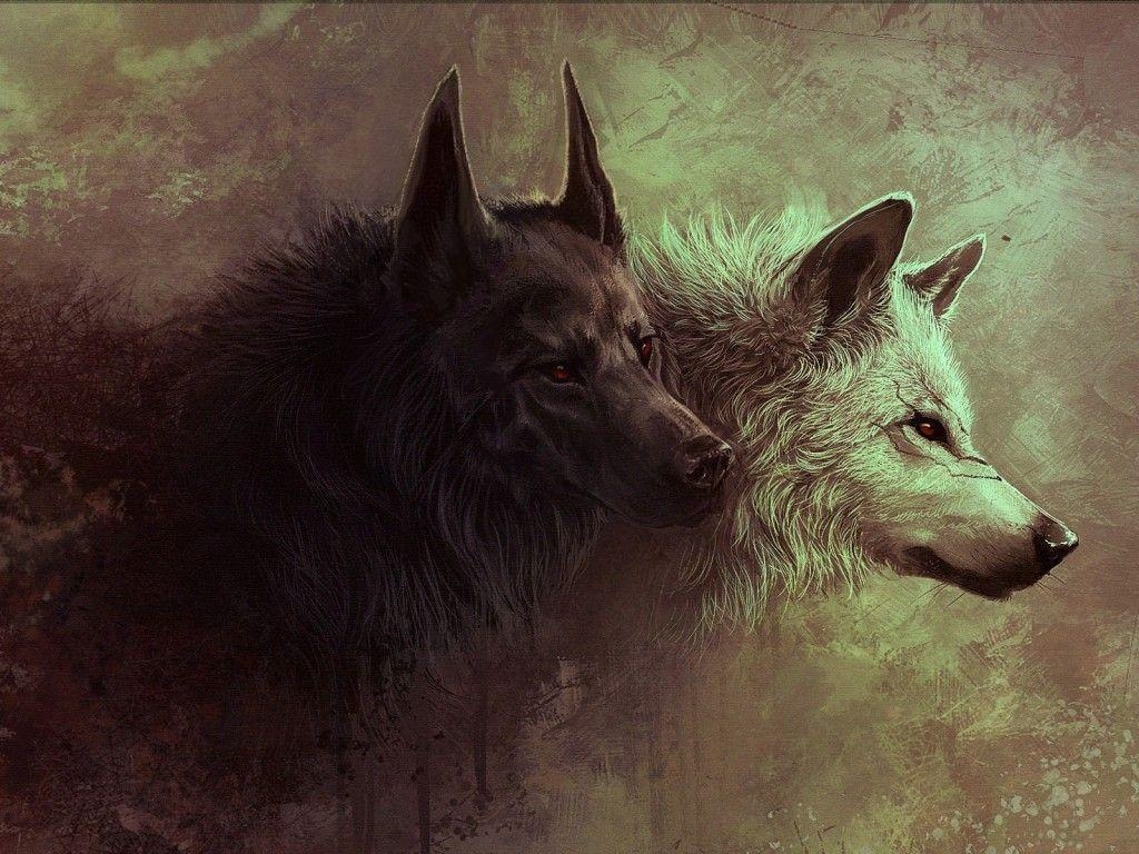 1030x770 Wallpaper For > White And Black Wolf Wallpaper, Desktop