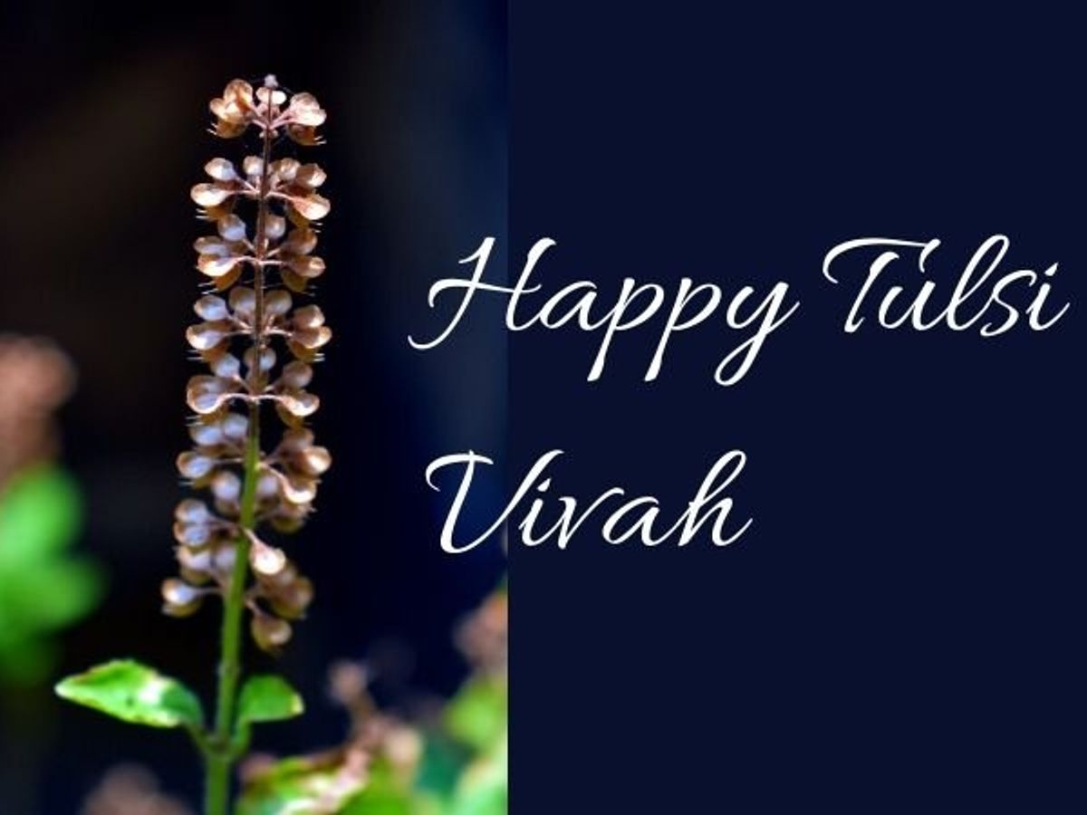 1200x900 Tulsi Vivah 2019 wishes: SMS, WhatsApp messages, wallpaper, image to friends and family, Desktop