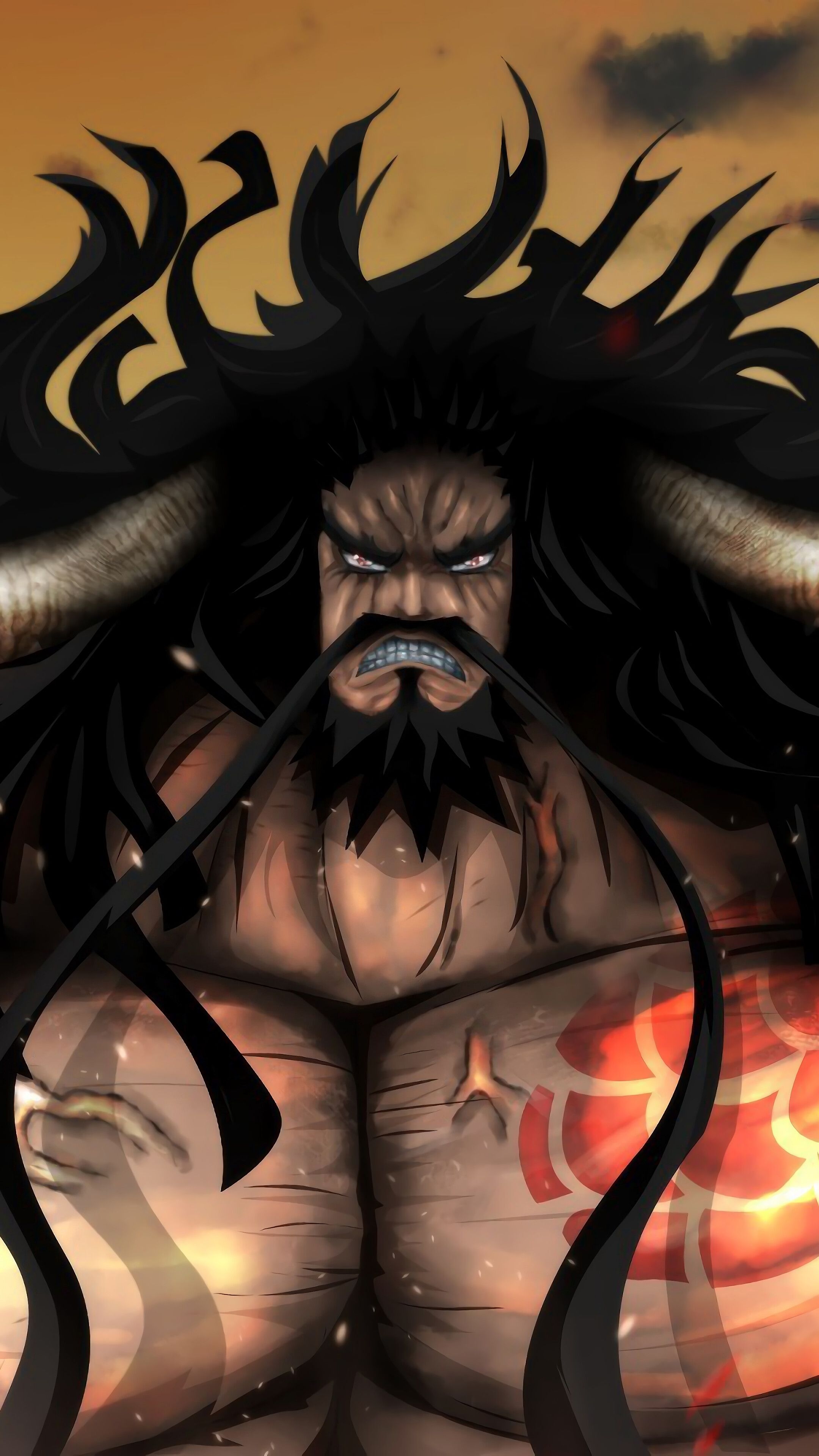 2160x3840 Kaido, One Piece, 4K phone HD Wallpaper, Image, Background, Photo and Picture. Mocah HD Wallpaper, Phone