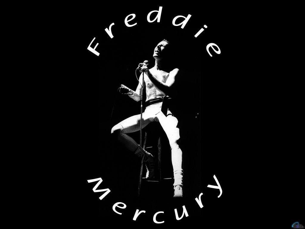 1030x770 Wallpaper black, singer, Queen, Freddie Mercury, Freddie Mercury, Desktop