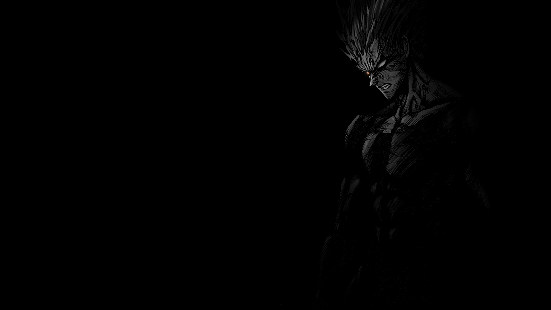 1920x1080 Thought I'd create a quick Garou Wallpaper for Garou fanboys out there. 1920 x 1080 300dpi, Desktop