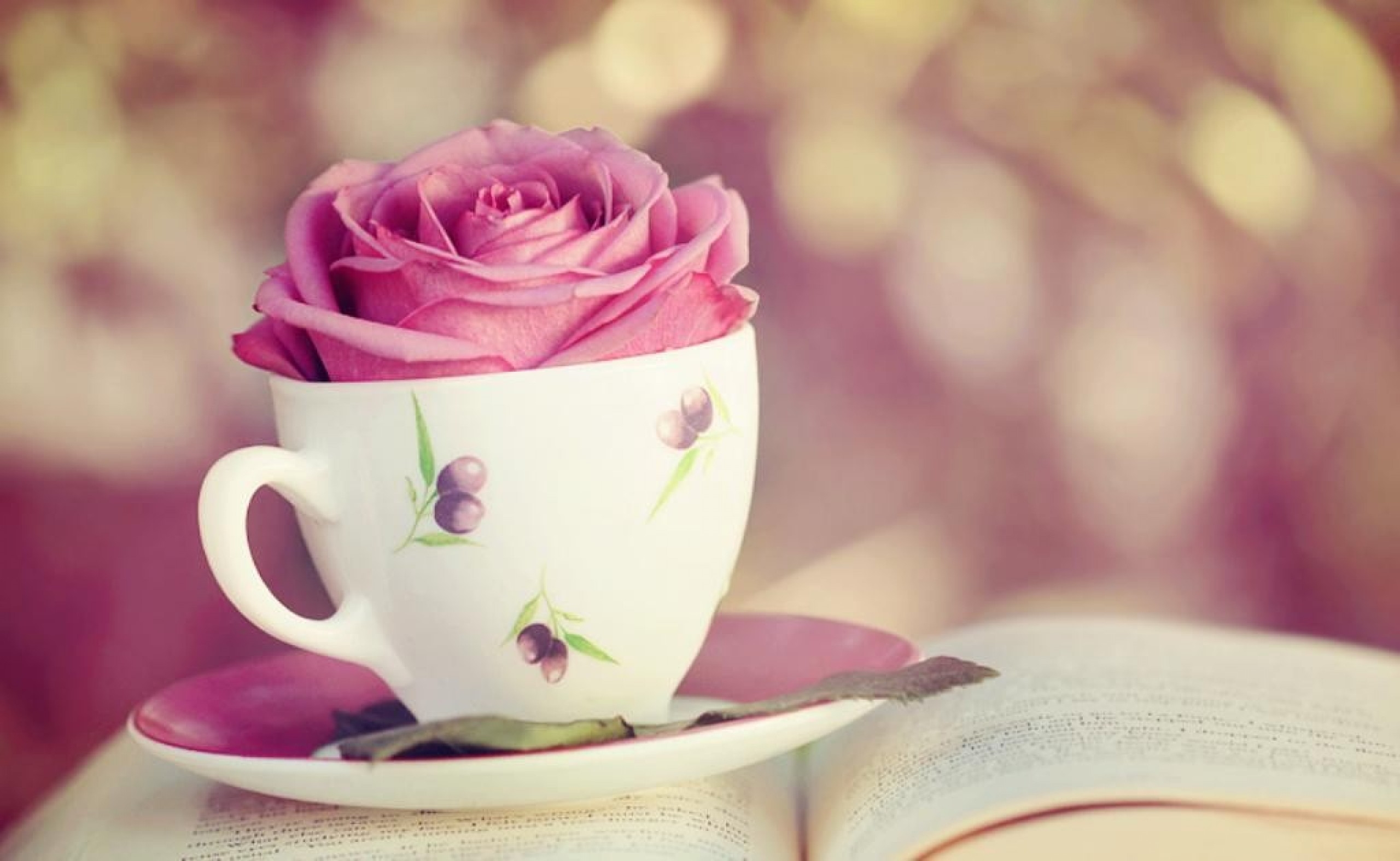 2560x1580 flower beautiful story page plate book cute beauty lovely cup love rose pink leave garden wallpaper.com • 4K 5k 8k HD Desktop Wallpaper for Ultra High Definition Widescreen Desktop, Tablet, Desktop