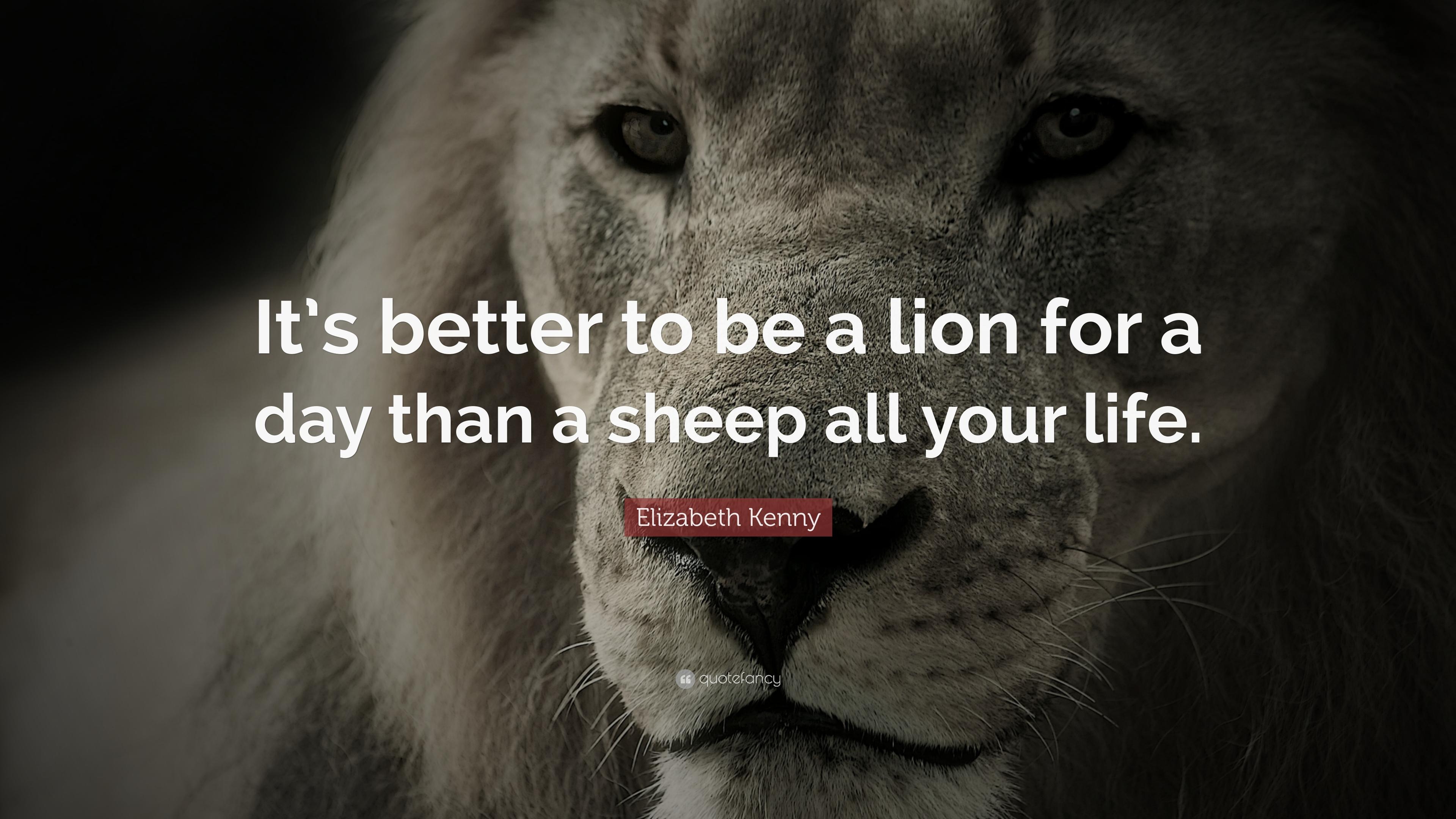 3840x2160 Lion Quotes Wallpaper Free Lion Quotes Background, Desktop