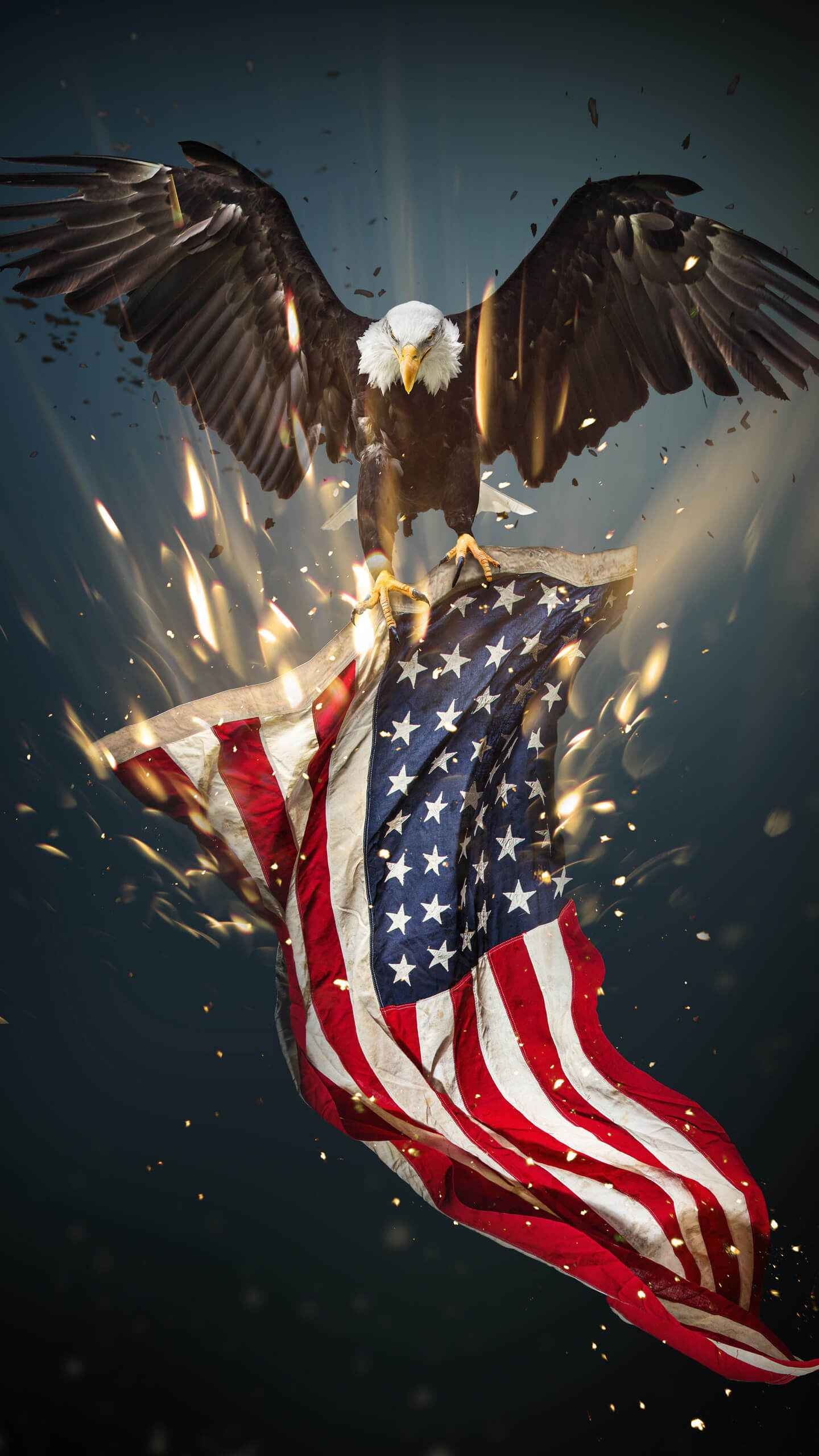 1440x2560 USA Eagle iPhone Wallpaper, Phone