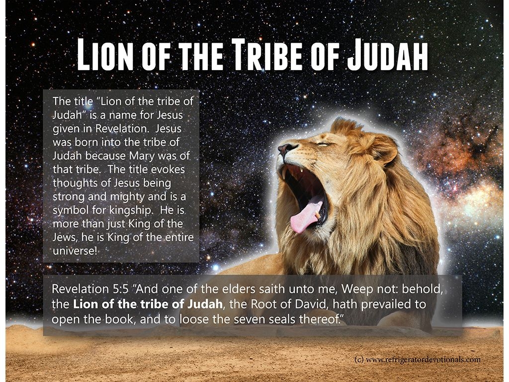 1030x770 Visual Aid: Lion of the tribe of Judah, Desktop