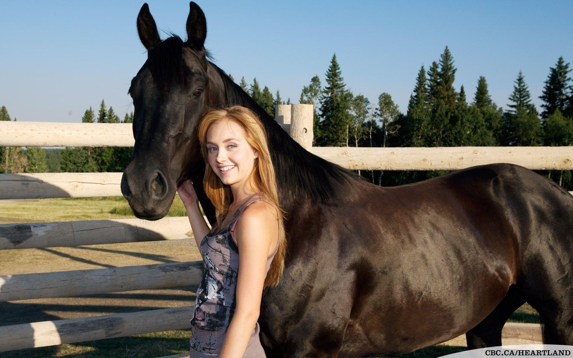 1920x1200 Horses Nature Marshall Horse Heartland Outdoors Amber Spartan, Desktop