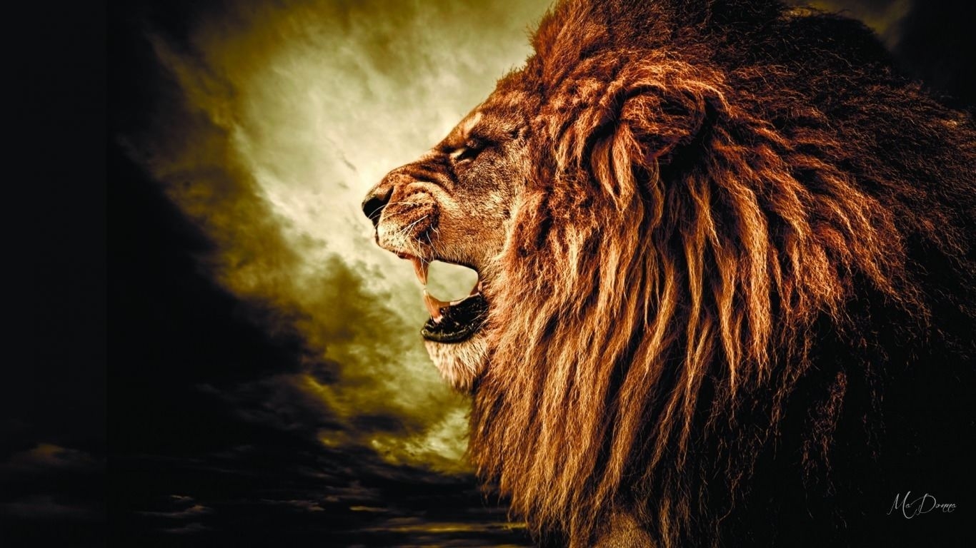 1370x770 Roaring Wallpaper. Roaring Fireplace Wallpaper, Roaring Twenties Wallpaper and Lion Roaring Wallpaper, Desktop