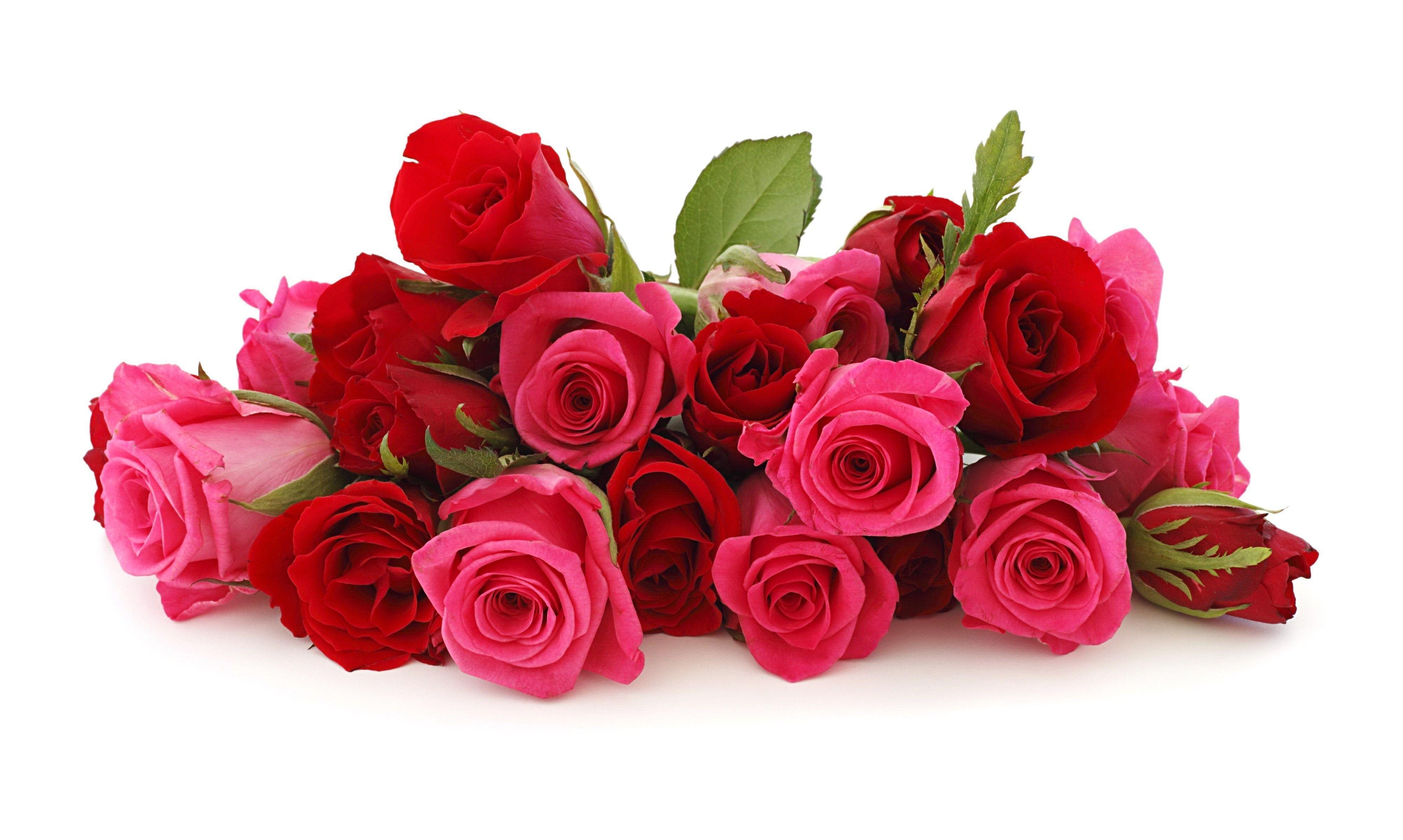 4000x2400 Red Rose & Pink Rose Flowers Bouquet HD Wallpaper, Desktop