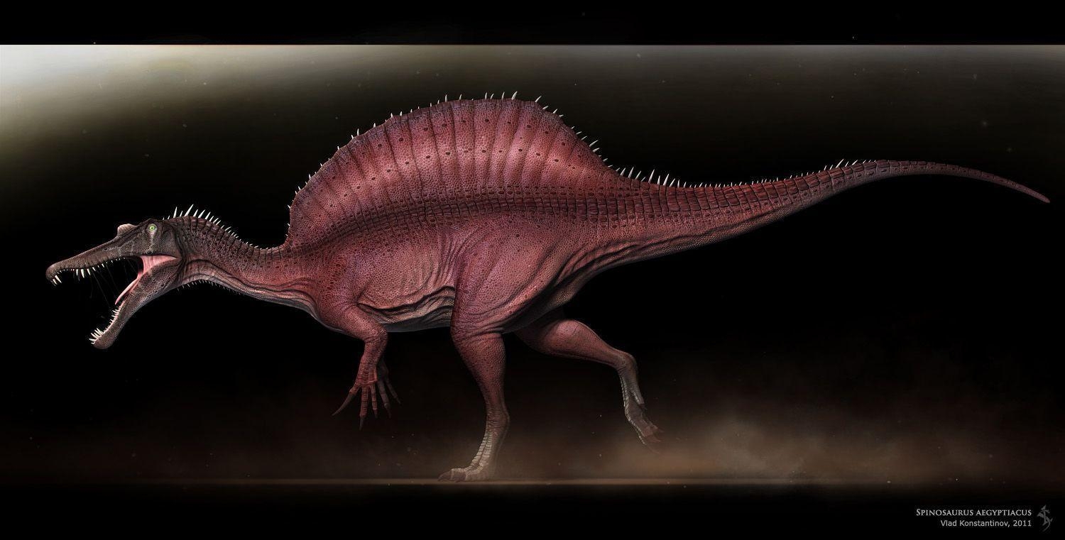 1500x770 Spinosaurus Sketch, Desktop