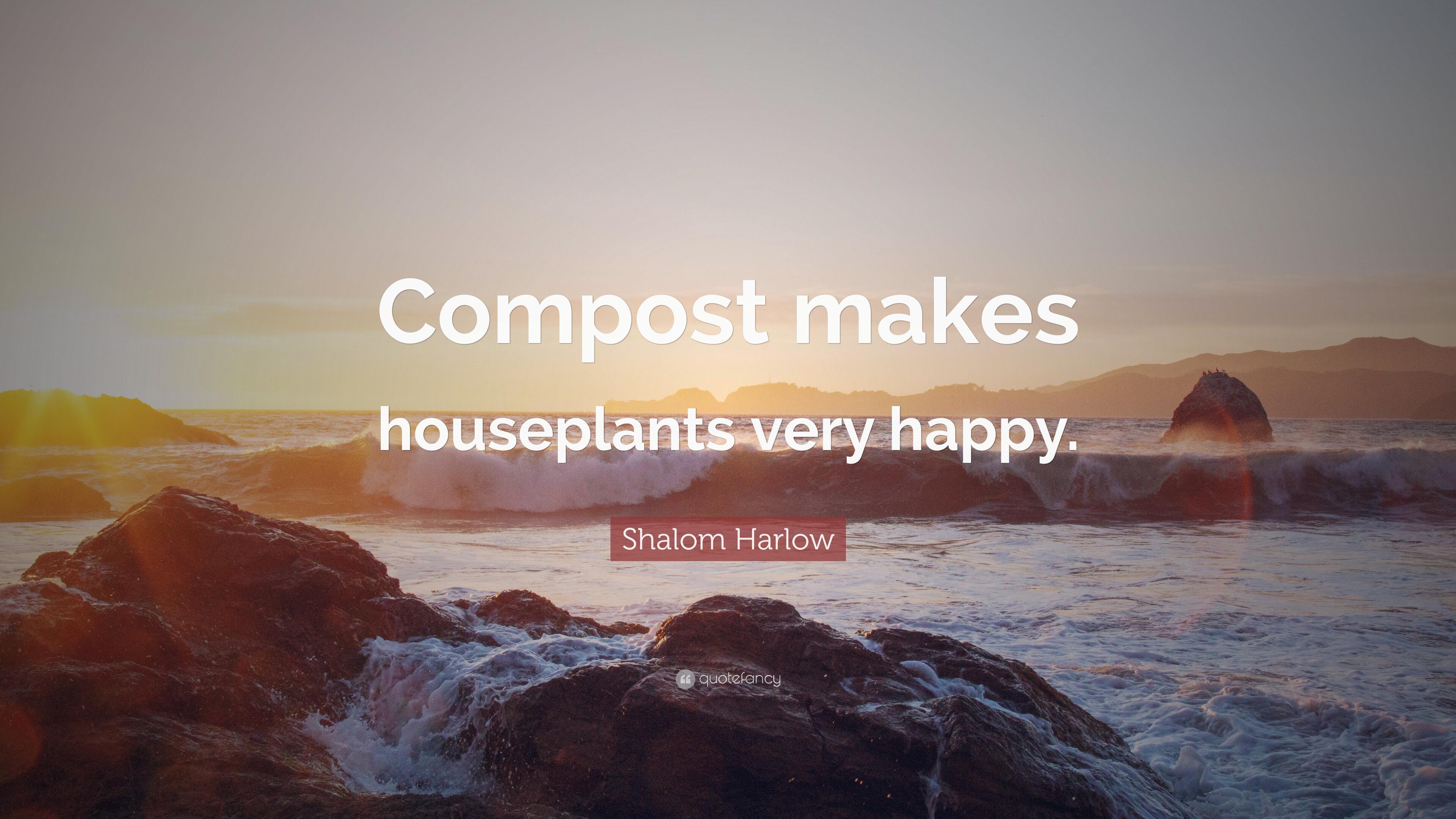 3840x2160 Shalom Harlow Quote: “Compost makes houseplants very happy.” 7, Desktop