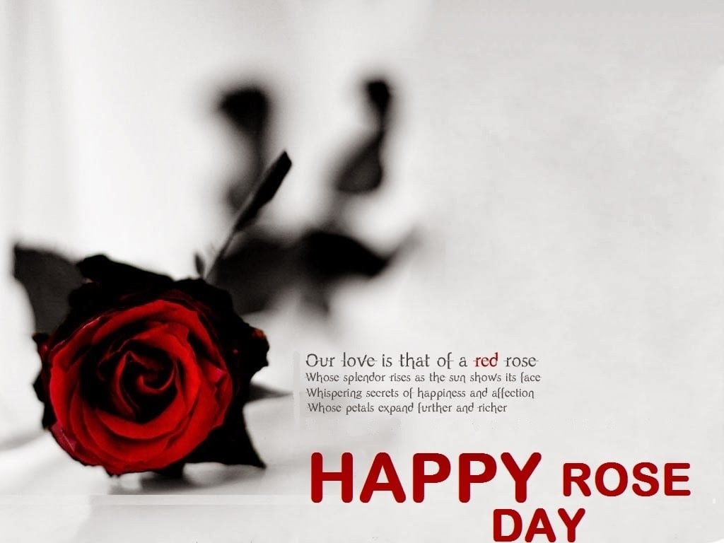 1030x770 Happy Rose Day 7th February 2014, Desktop