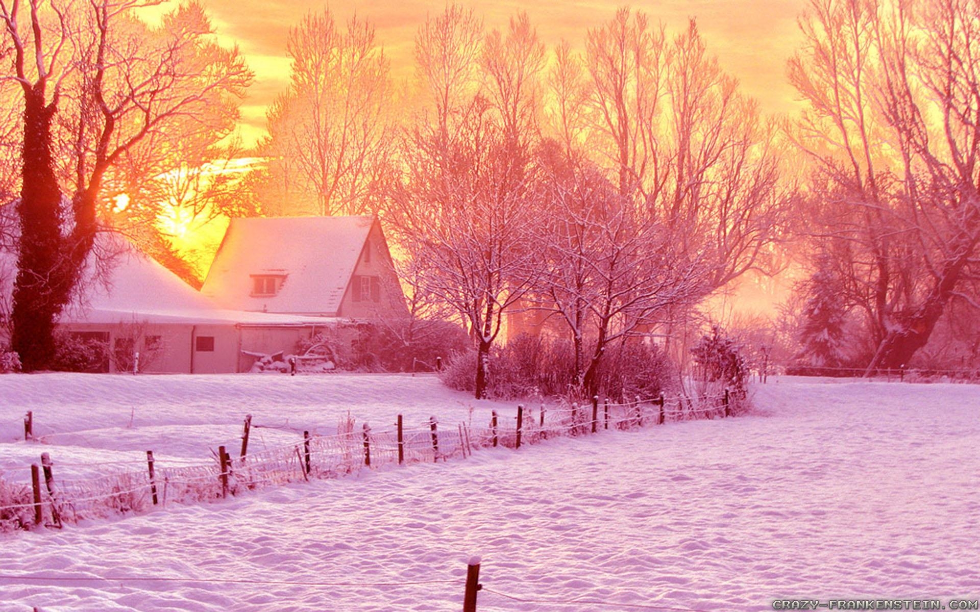 1920x1200 Cold Winter wallpaper, Desktop