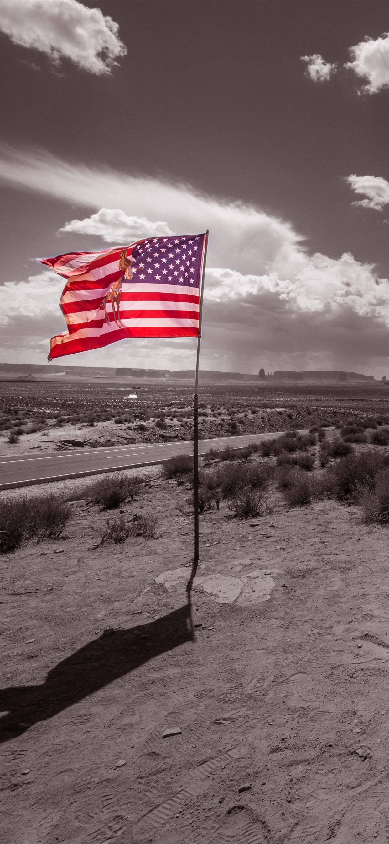 1250x2690 Download Photohopped American Flag Cool iPhone Wallpaper, Phone