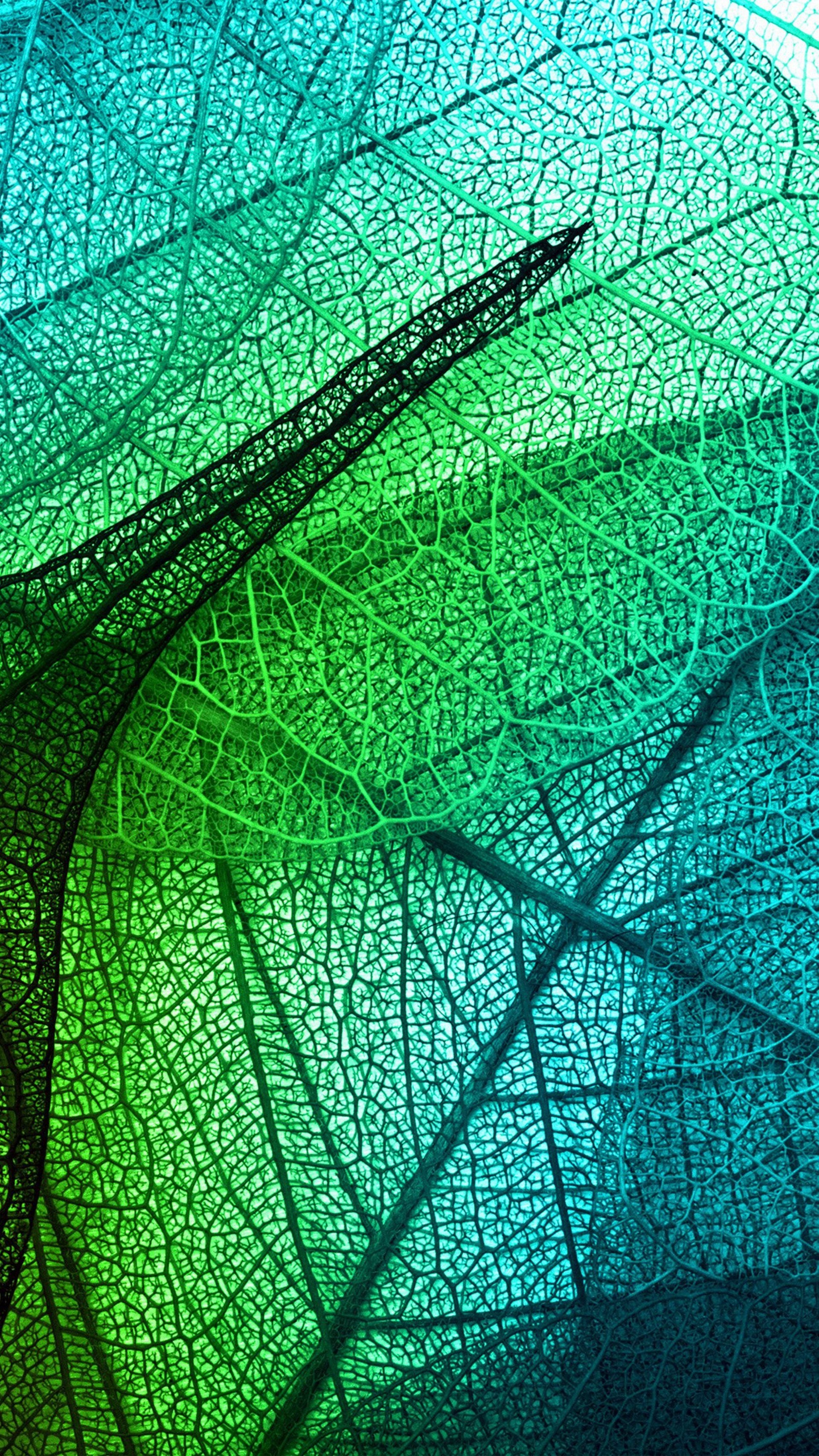 1920x3420 Leaves Art Green Blue Pattern #iPhone #wallpaper. iPhone 8, Phone