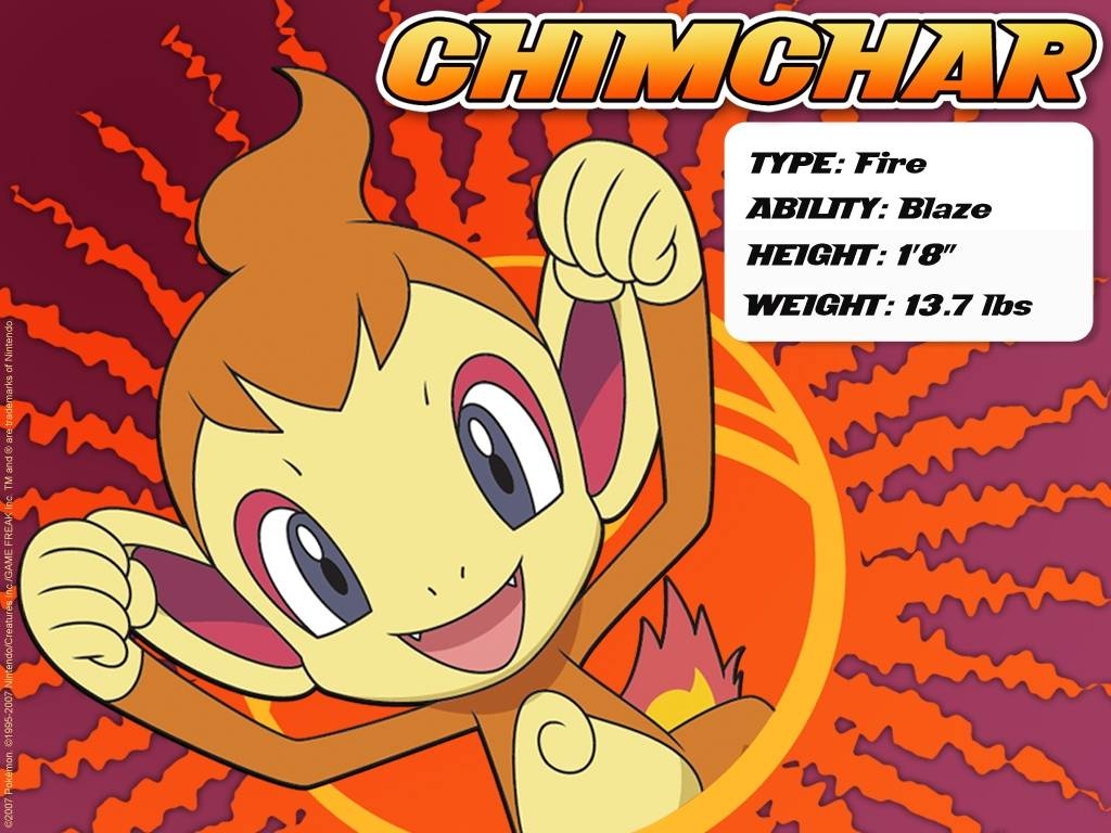 1030x770 chimchar, Desktop