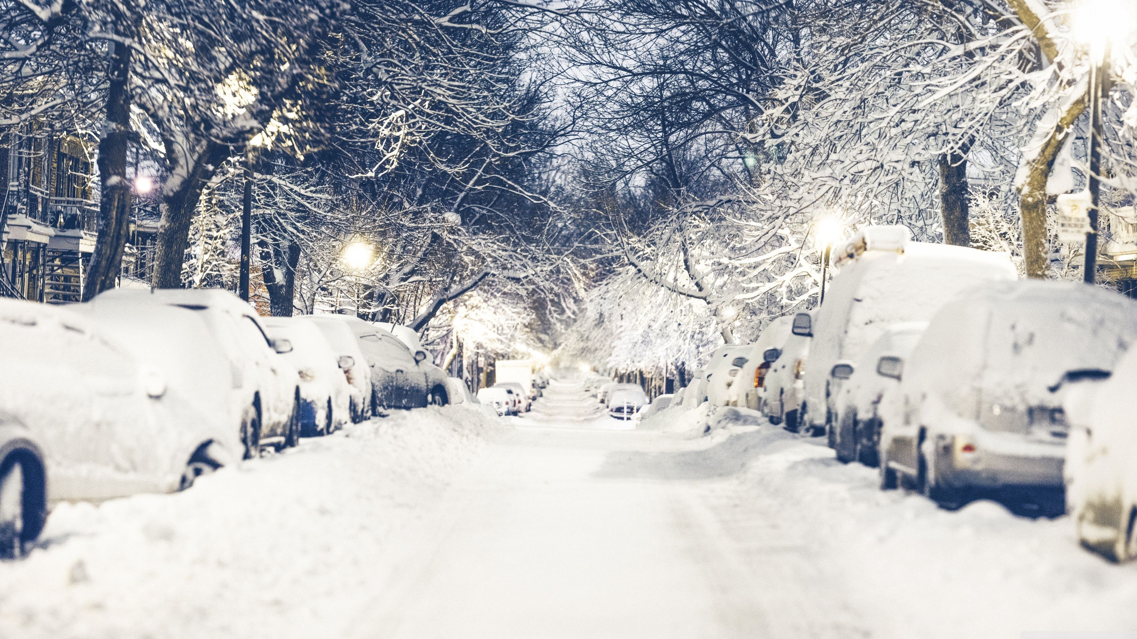 3840x2160 4K 16 9 Winter Wallpaper Free 4K 16 9 Winter Background, Desktop