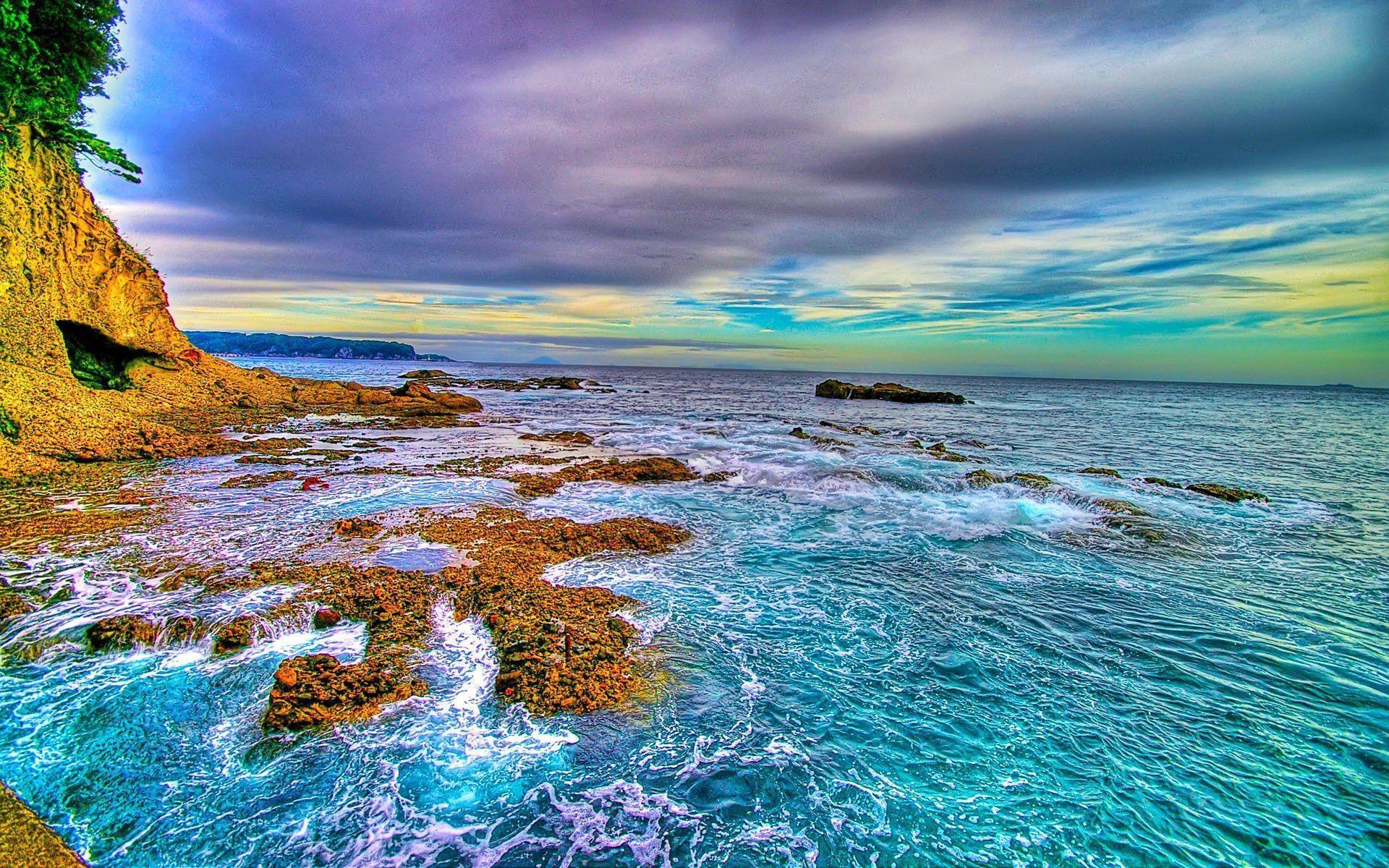 1920x1200 Florida Christmas Wallpaper, Desktop
