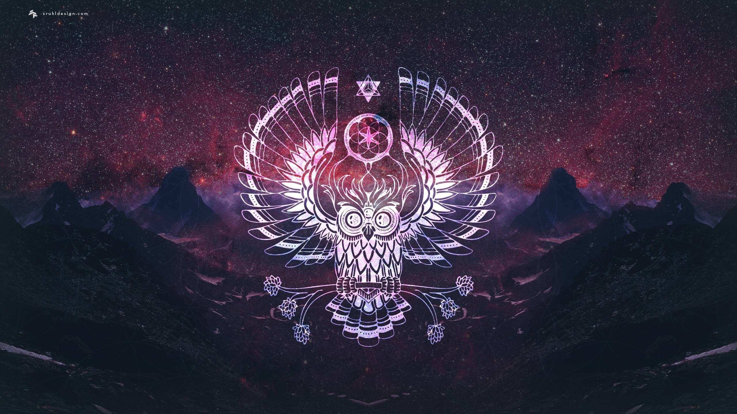 2560x1440 Owl 4K wallpaper for your desktop or mobile screen free and easy to download, Desktop