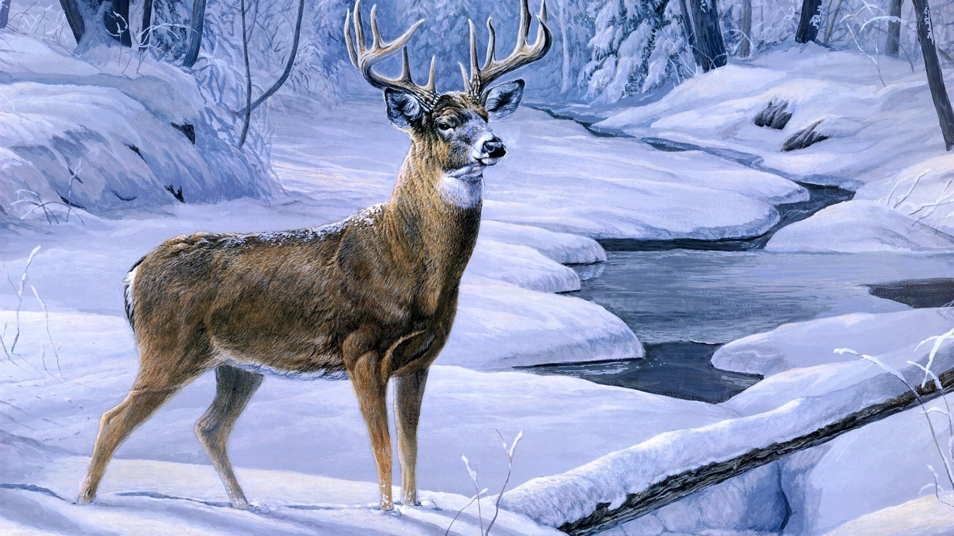 1920x1080 Cool Deer Wallpaper. HD Wallpaper. Deer wallpaper, Wallpaper and Wallpaper background, Desktop