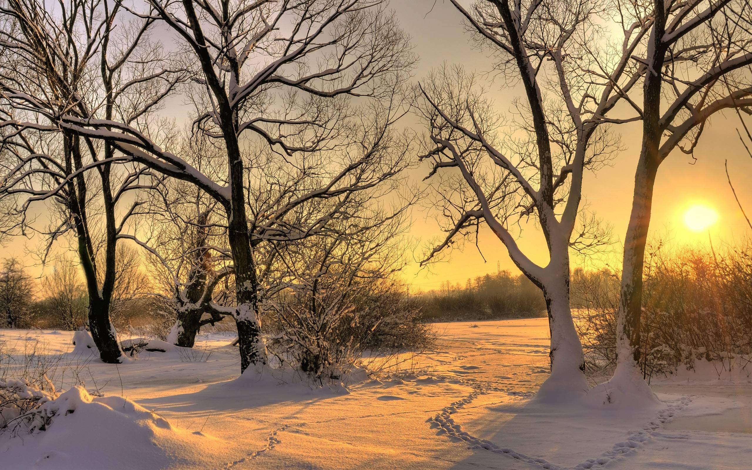 2560x1600 Nature & Landscape, Pretty Photograph beautiful winter sunset HD, Desktop