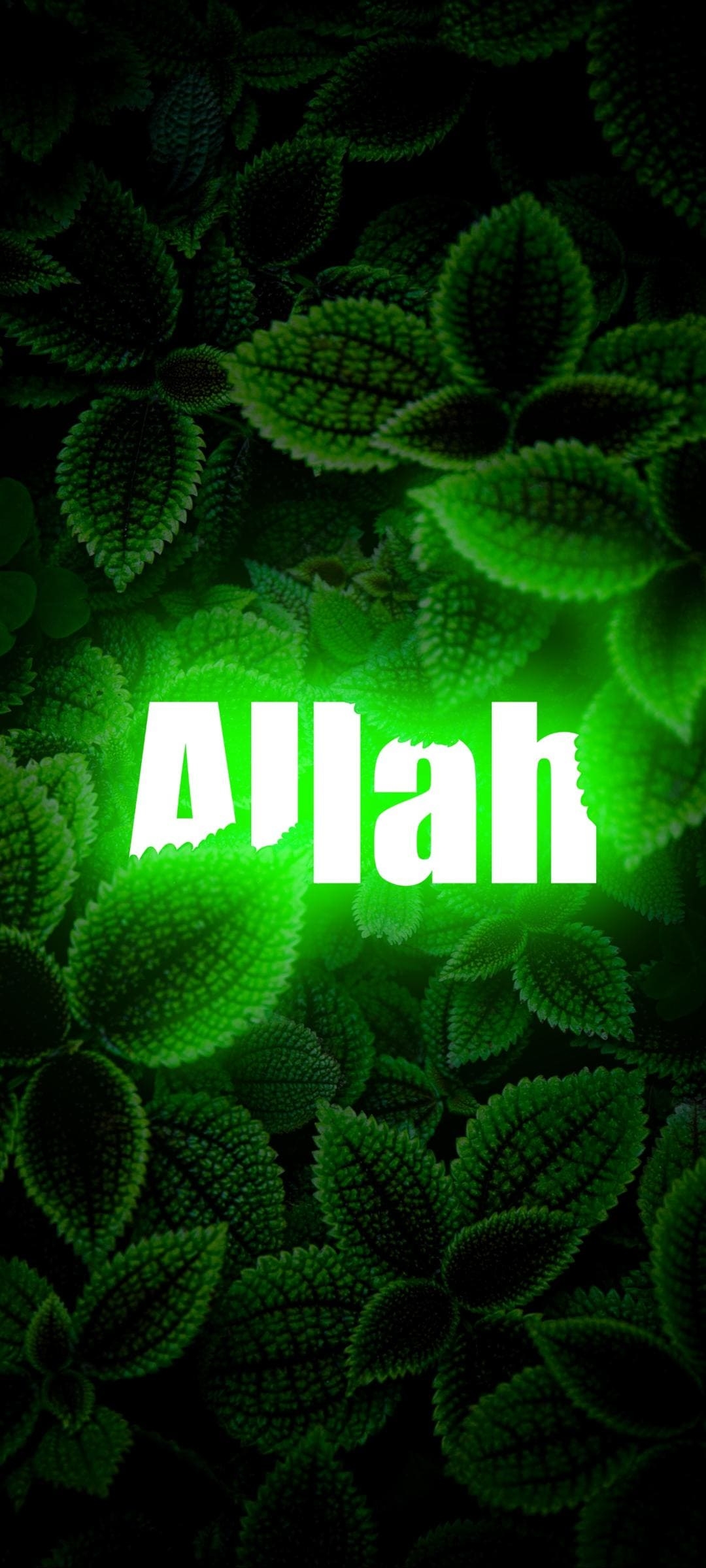 1080x2400 Free download Allah Name Wallpaper [] for your Desktop, Mobile & Tablet. Explore Allah Is Watching Me Wallpaper. Allah Background, Allah Background, Allah Wallpaper, Phone