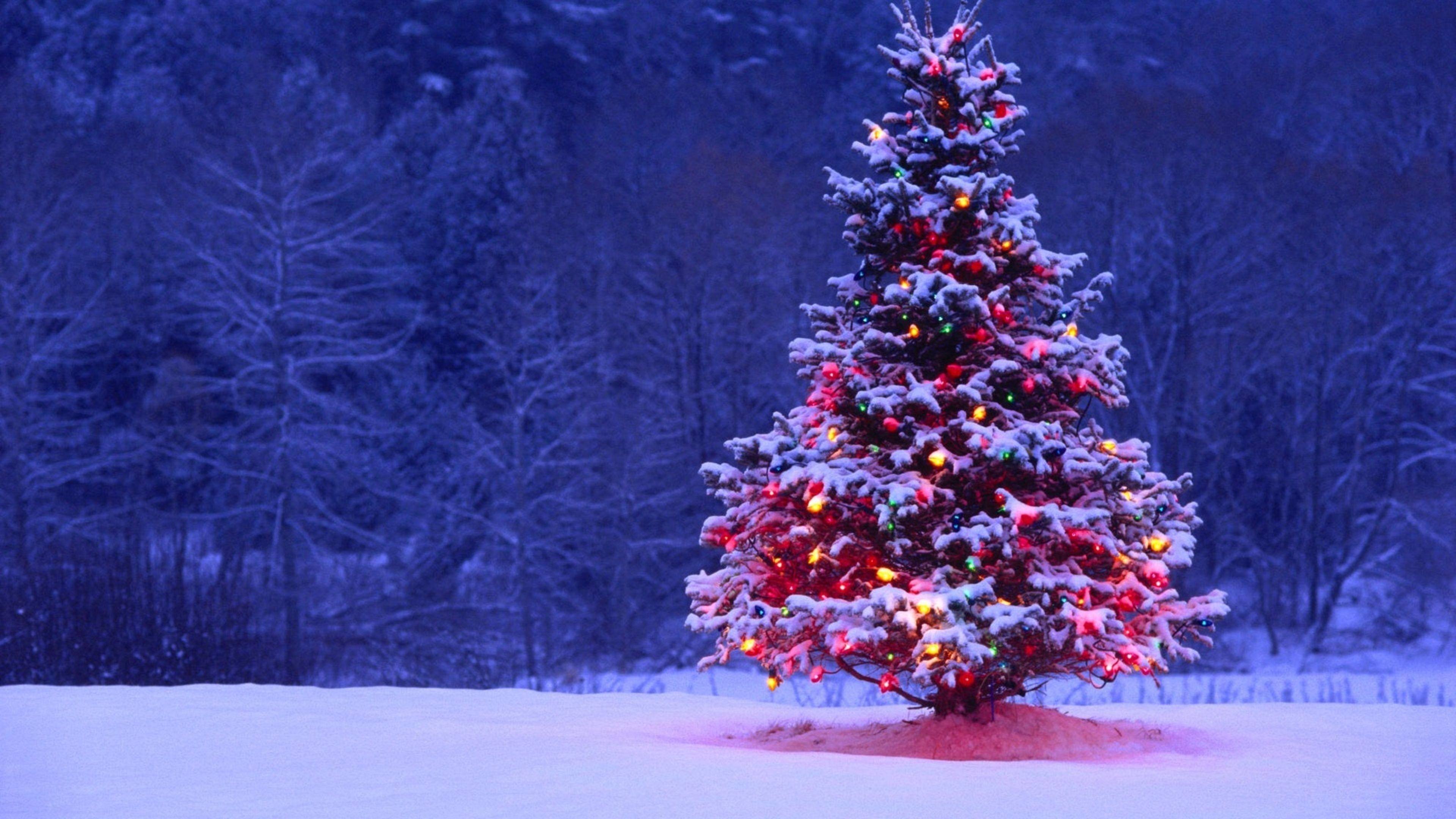 3840x2160 4K Christmas Wallpaper, Desktop