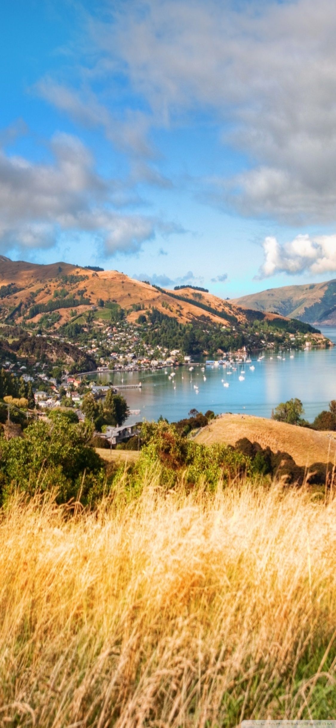 1130x2440 New Zealand Wallpaper For iPhone Akaroa New Zealand Zealand, Phone