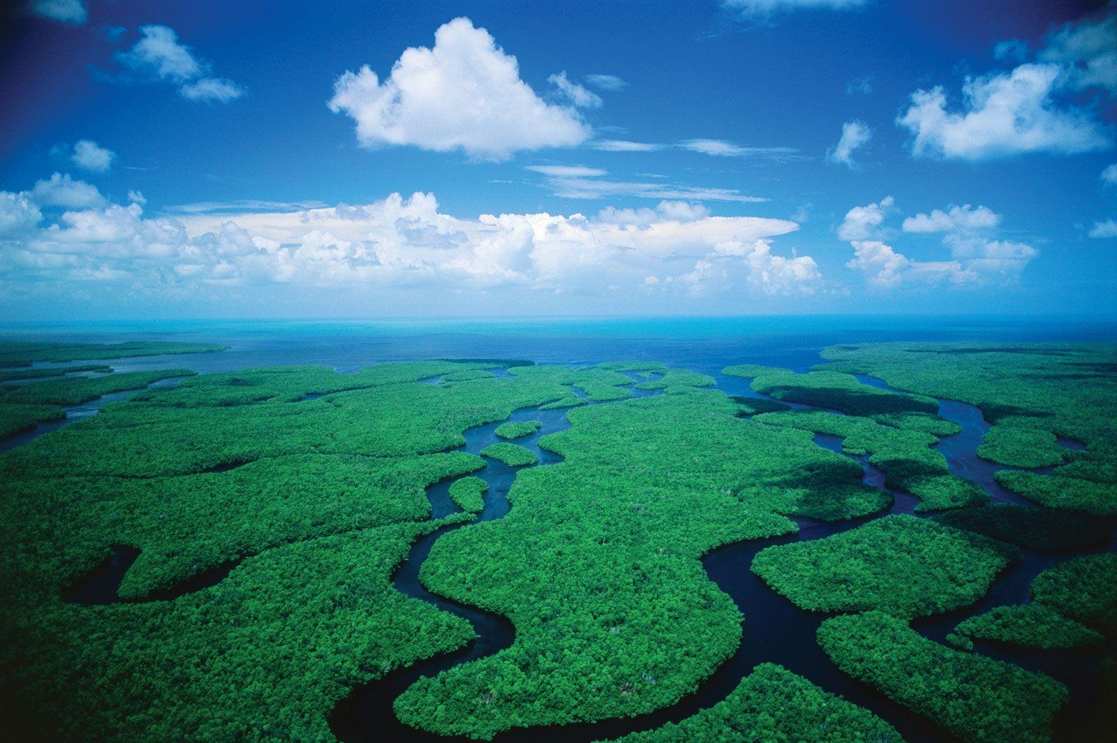 1600x1070 Exploring Everglades National Park in Miami, Desktop