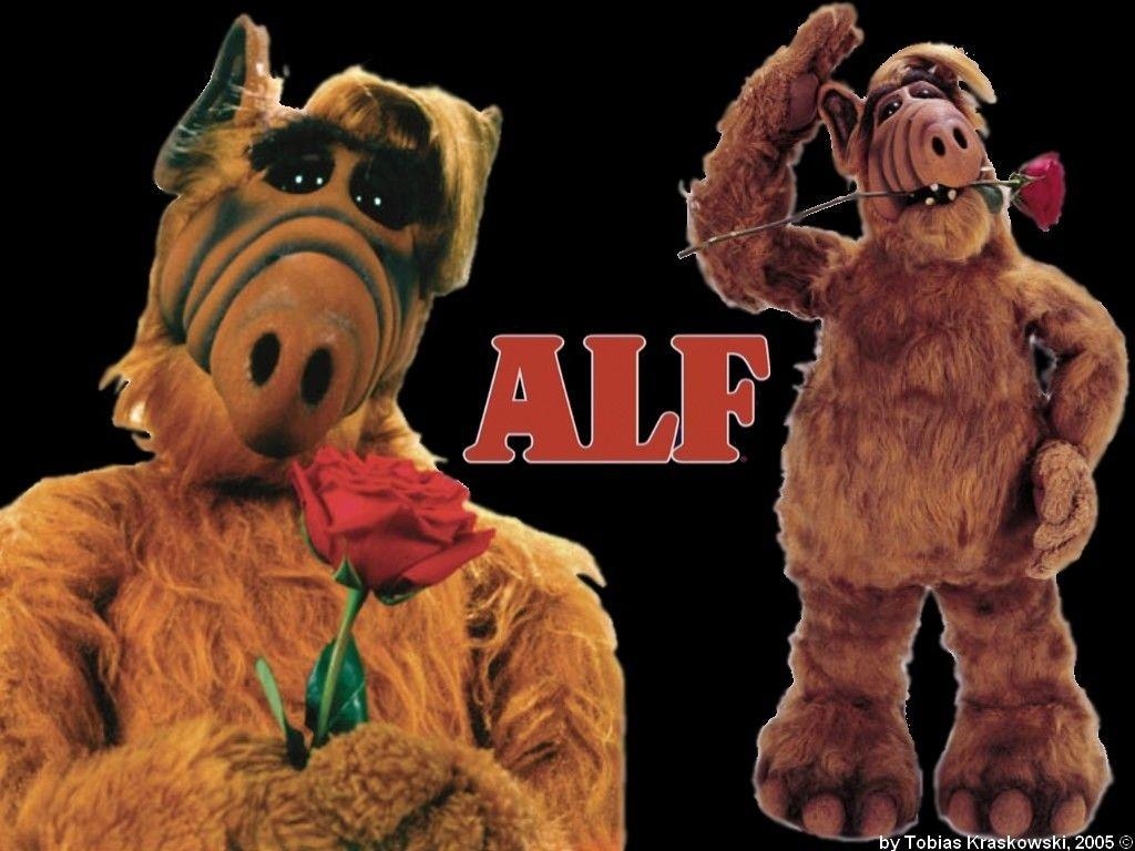 1030x770 Alf image 163994492 alf wallpaper HD wallpaper and background, Desktop