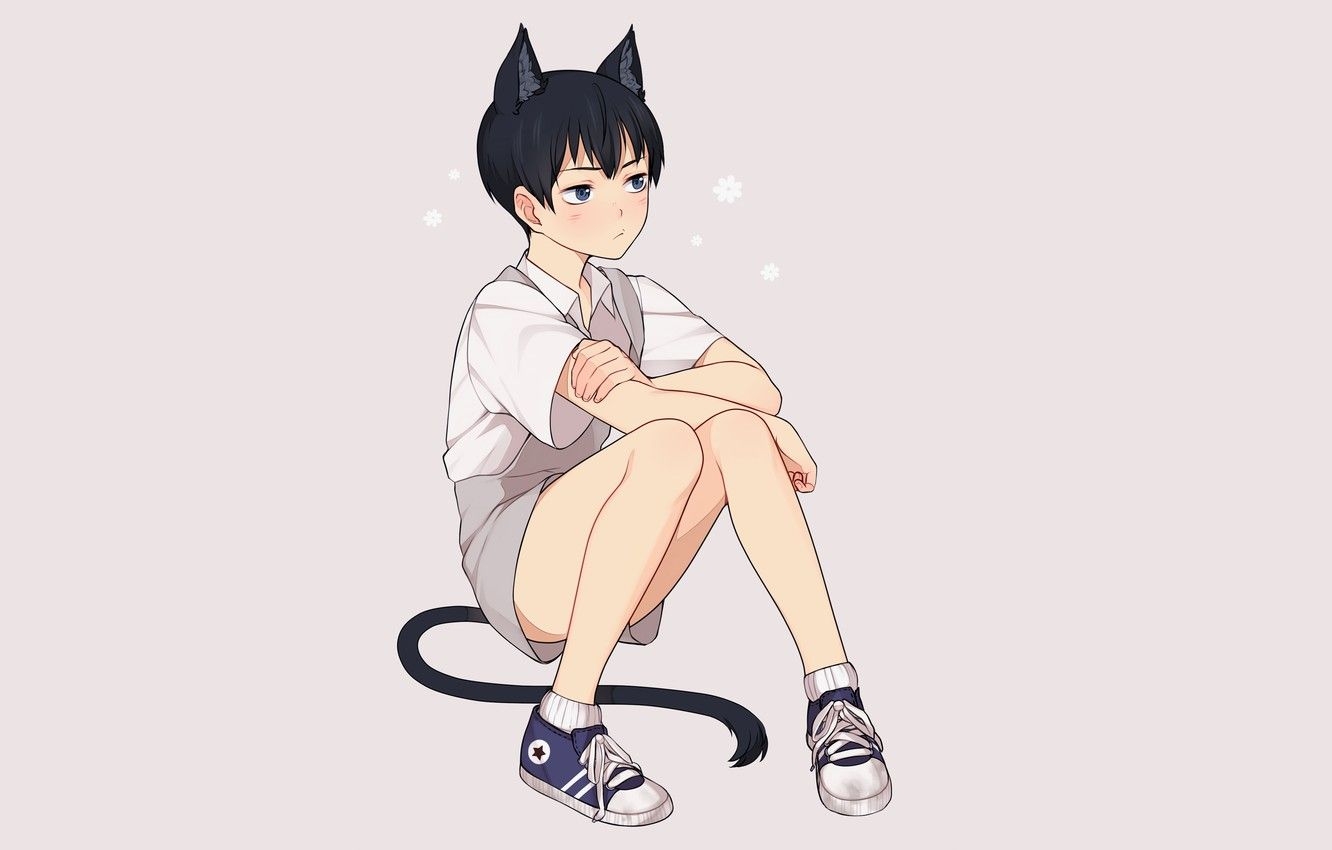 1340x850 Wallpaper cat, boy, neko, Volleyball, Haikyuu, Kageyama, Tobio image for desktop, section сёнэн, Desktop