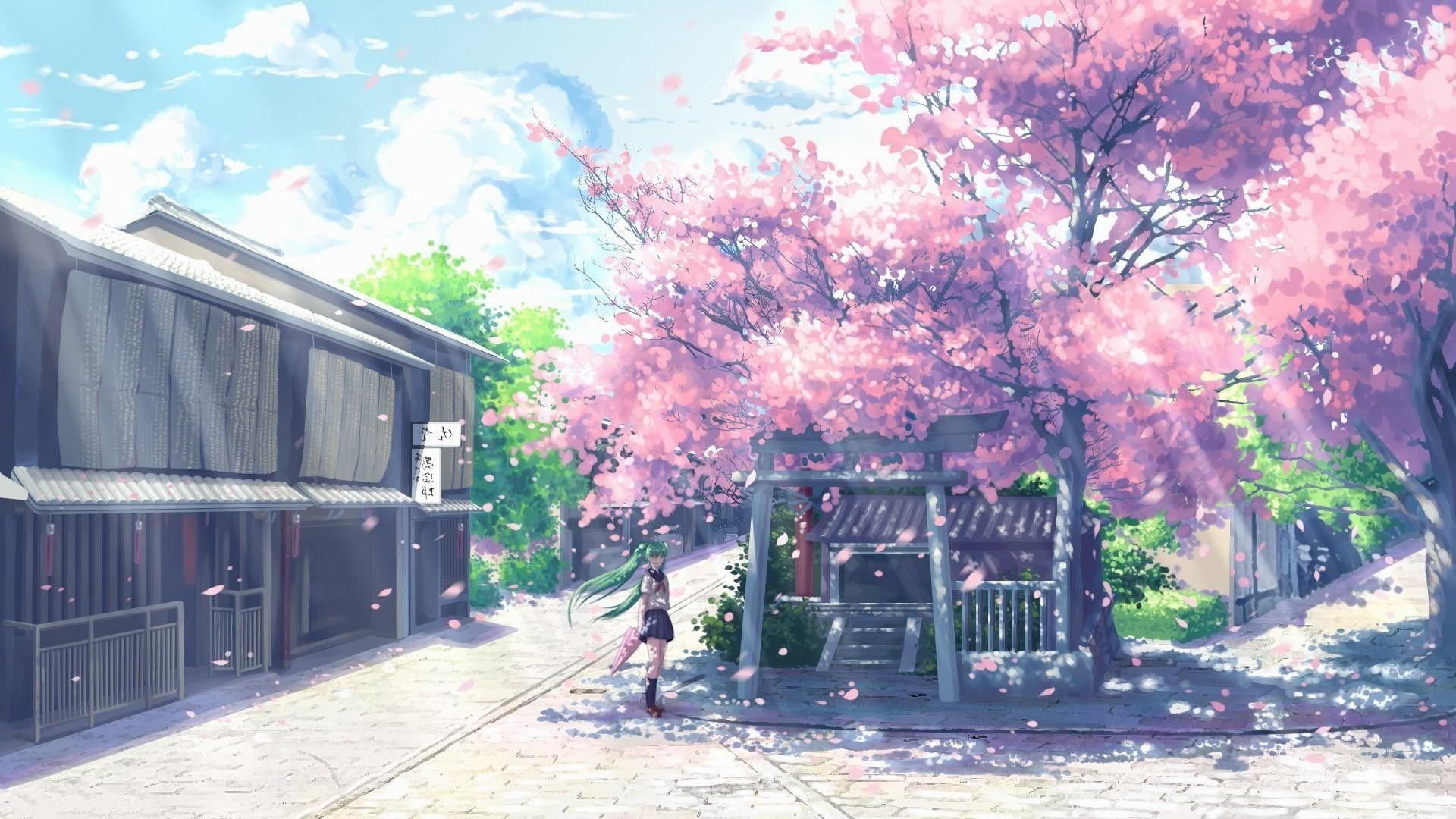 1920x1080 Anime Cherry Blossom Wallpaper, Desktop