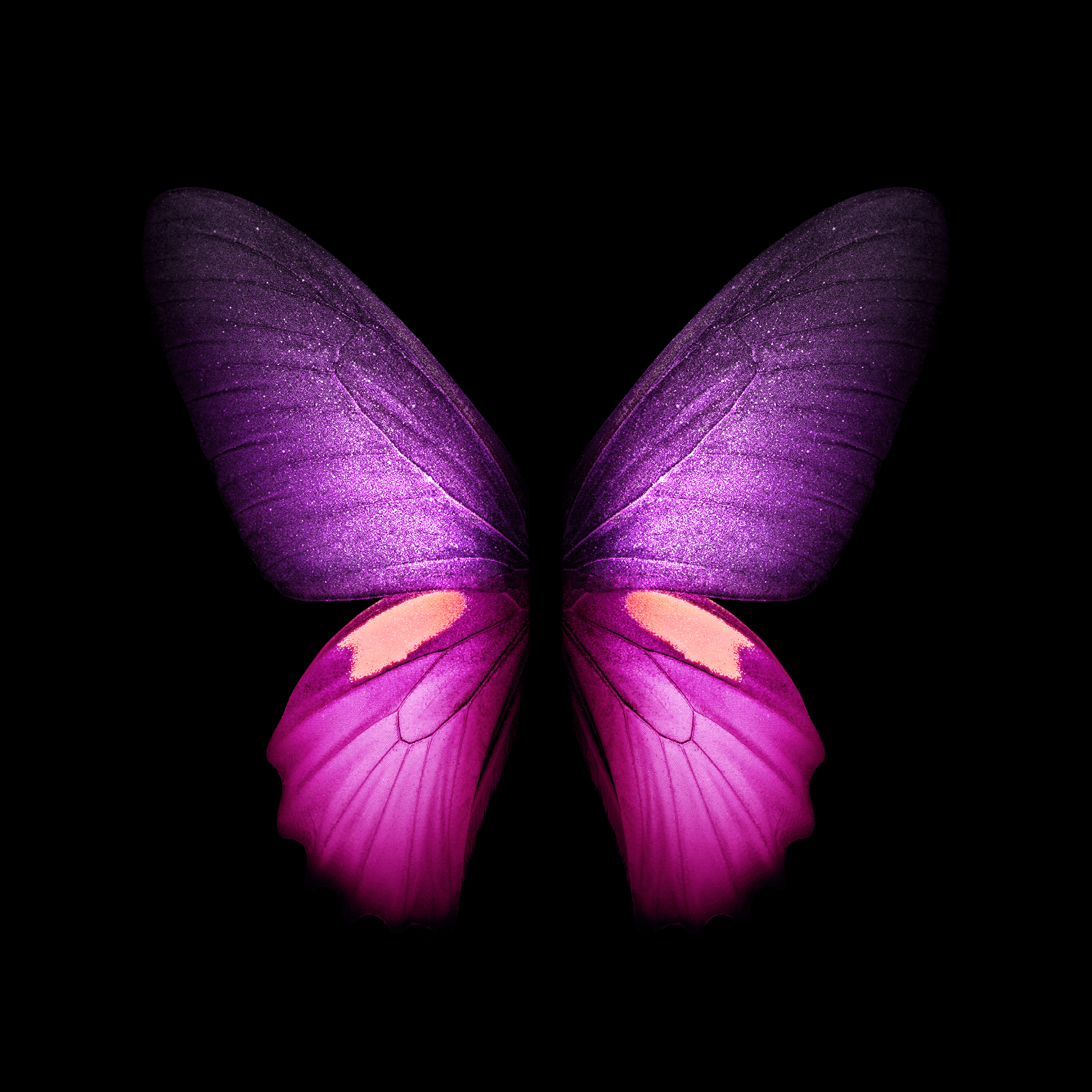 2160x2160 You can download the Live Wallpaper from the Galaxy Fold right here, Phone