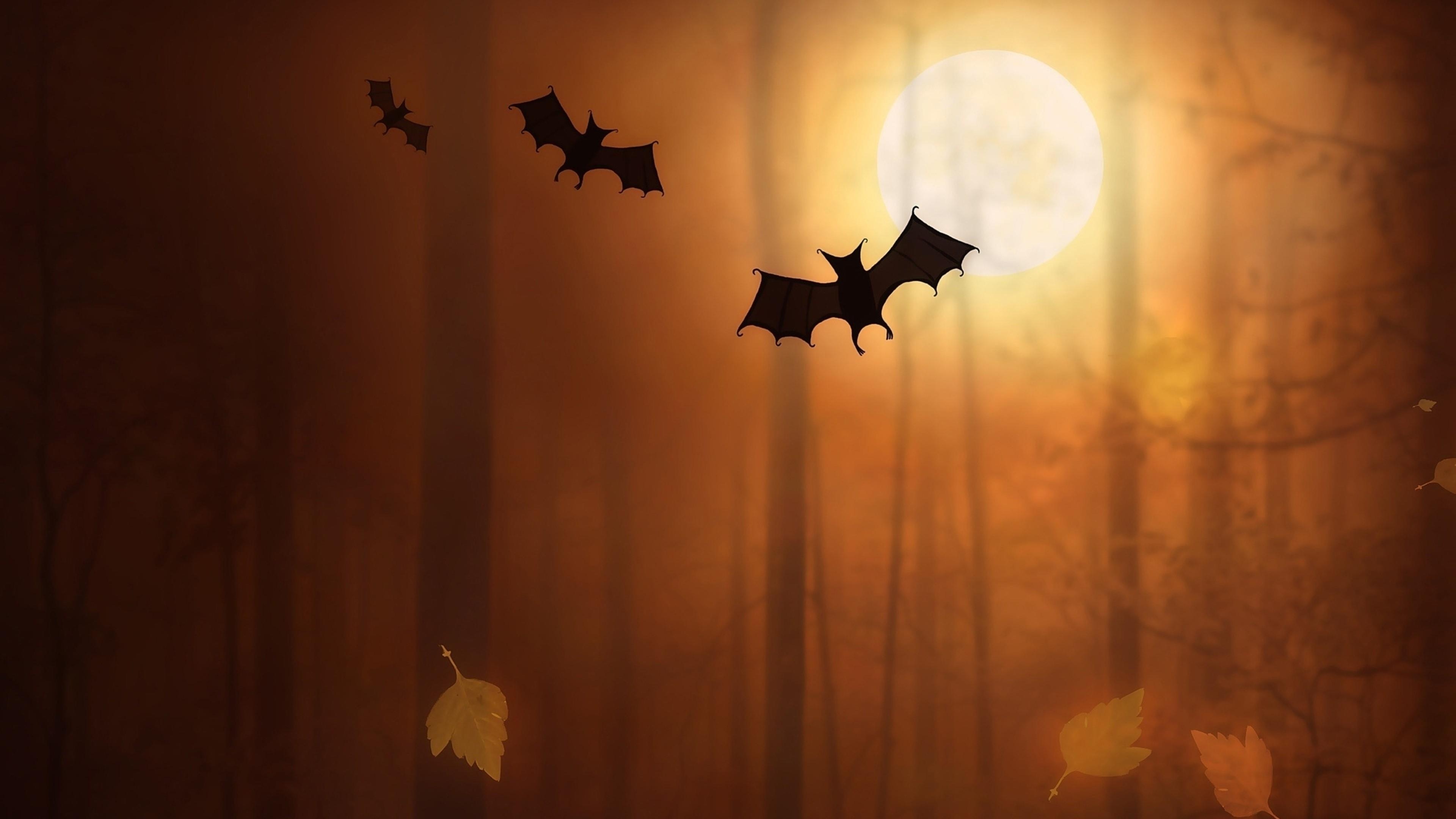 3840x2160 Halloween Bats 4K UltraHD Wallpaper. Wallpaper Studio 10, Desktop