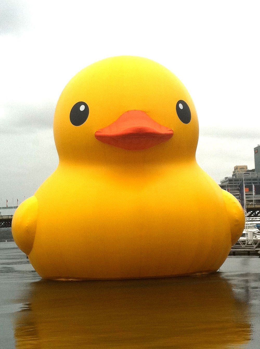 1000x1340 Giant Rubber Duck Wallpaper, Phone