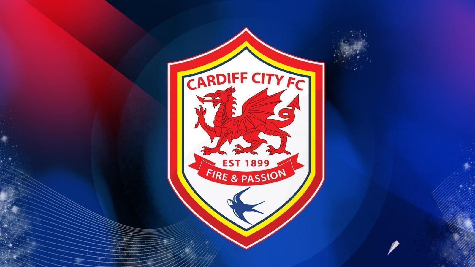 1600x900 Cardiff City Wallpaper HD, Desktop