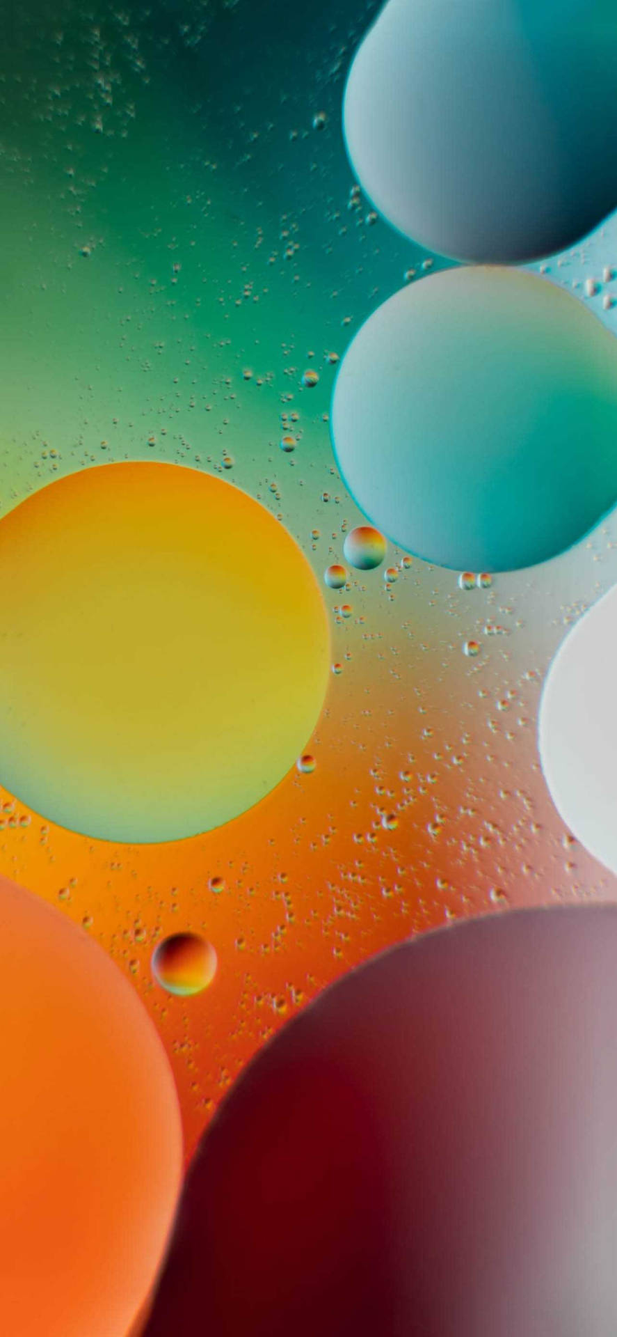 890x1920 Download Ios 15 Floating Spheres Wallpaper, Phone