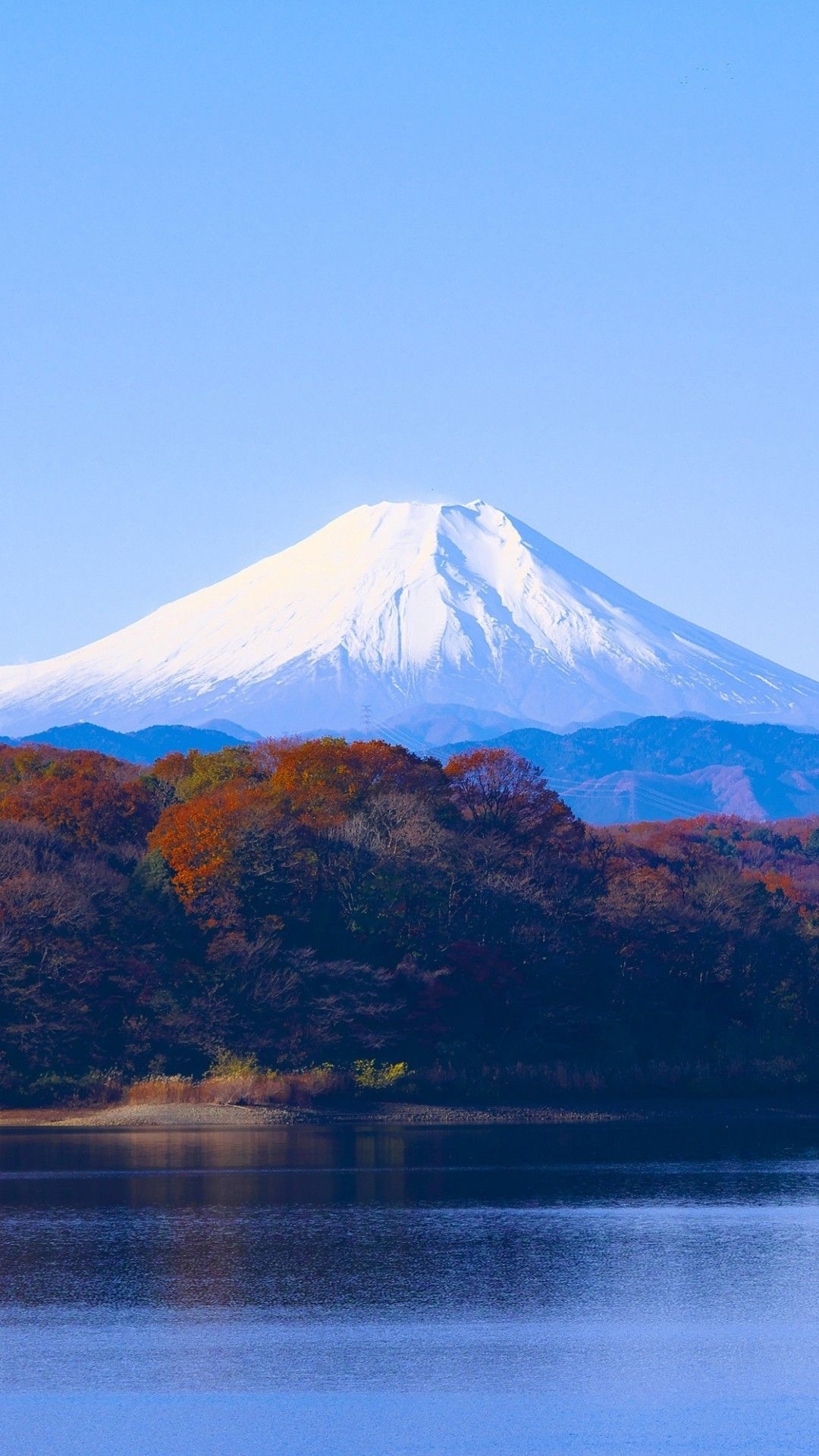 1080x1920 Download  Mount Fuji, Trees, Snow, Japan, Clean Sky, Phone