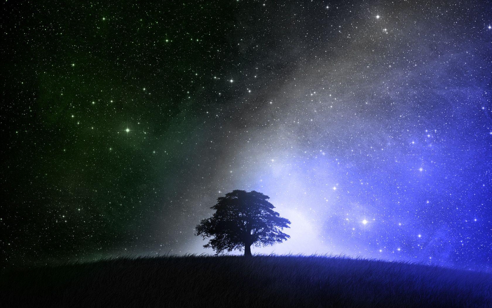 1680x1050 Tree and the Stars at Night time Wallpaper 35627326, Desktop