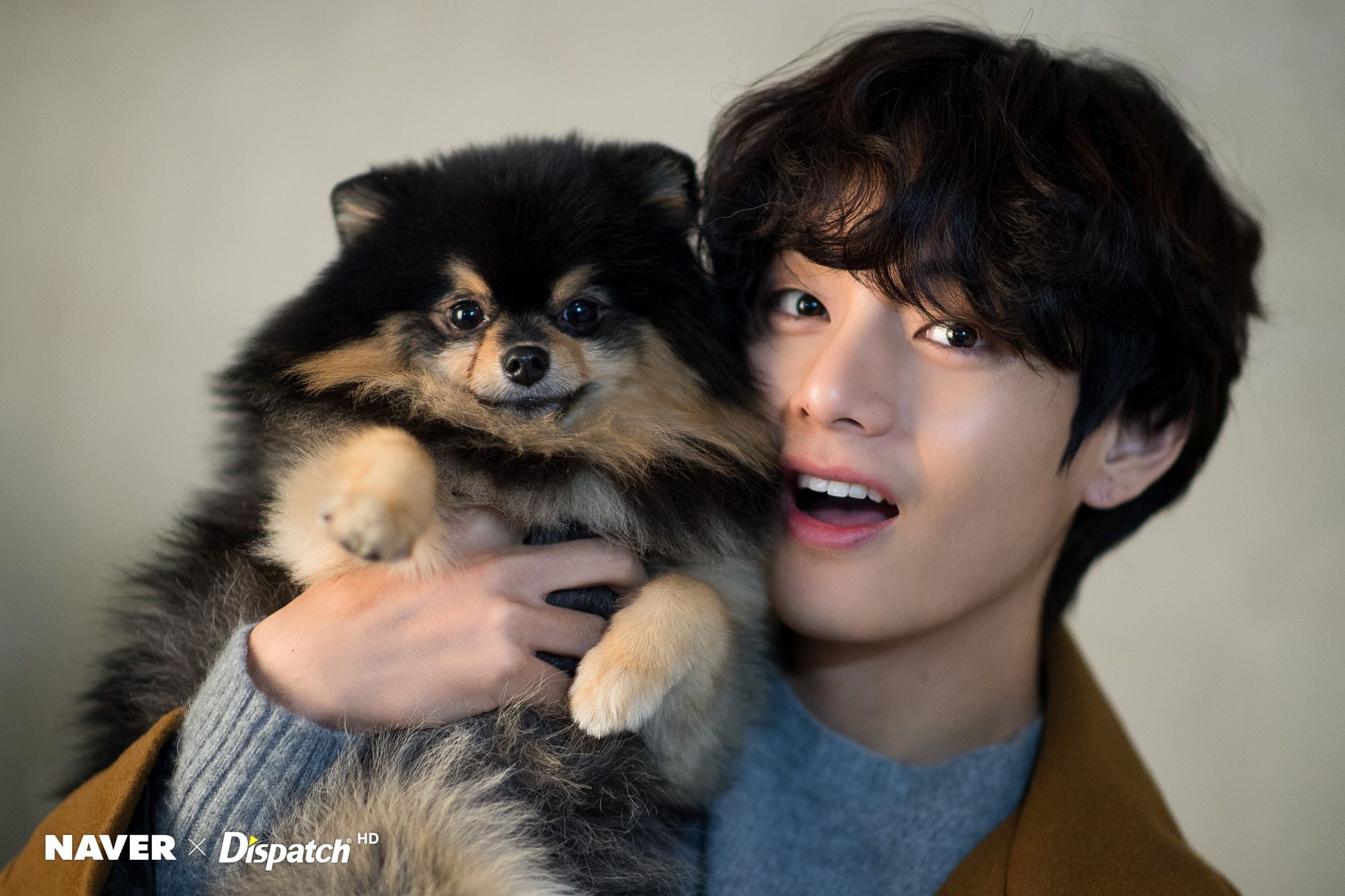 2000x1340 BTS's V and his dog Yeontan Birthday photohoot, Desktop