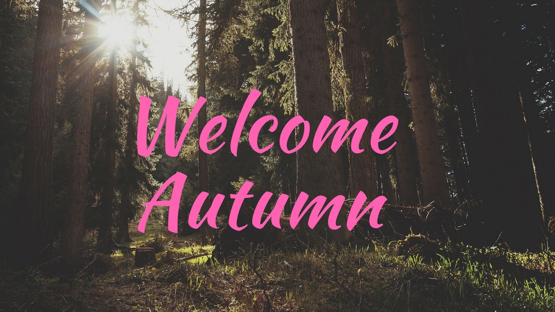 1920x1080 Free Hello Autumn, Welcome September Image And Wallpaper, Desktop