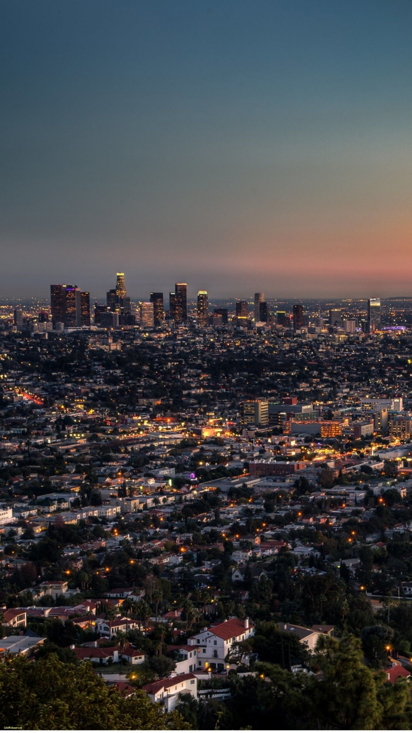 1600x2850 Hd Los Angeles Wallpaper, Phone