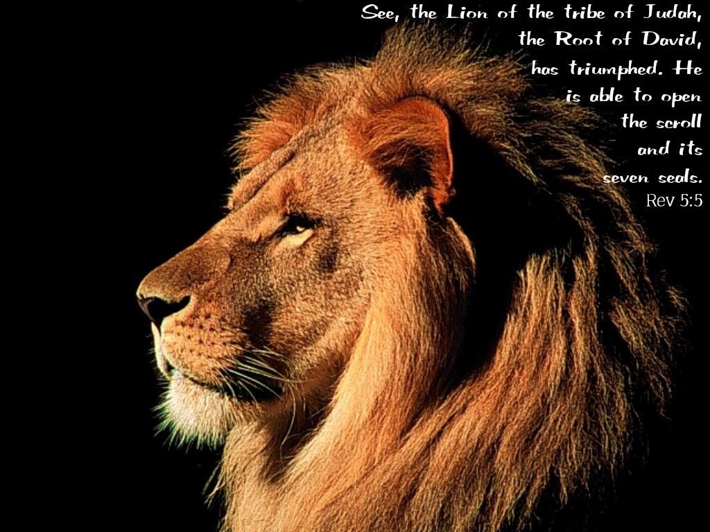 1030x770 Lion Of Judah Wallpaperwallpaperafari.com, Desktop