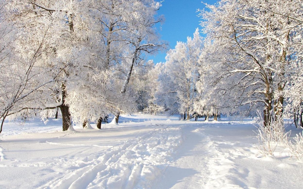 1250x780 Winter Season. Best Wallpaper Background, Desktop