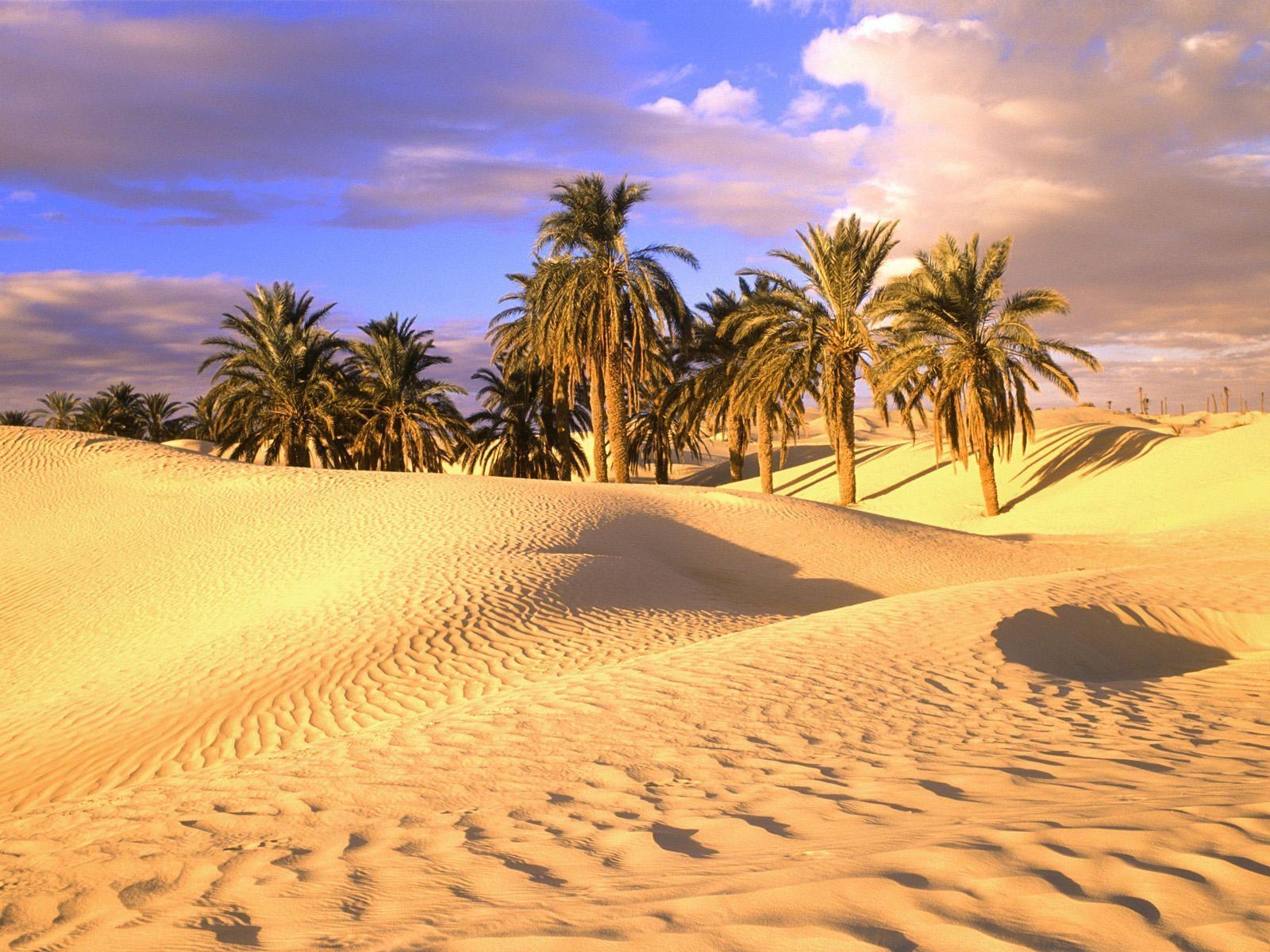 1600x1200 Sahara Largest Desert Wallpaper, Desktop