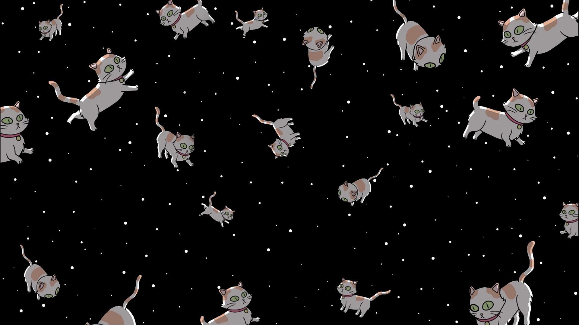 1920x1080 Noticed a disturbing lack of space cat wallpaper around so I made, Desktop