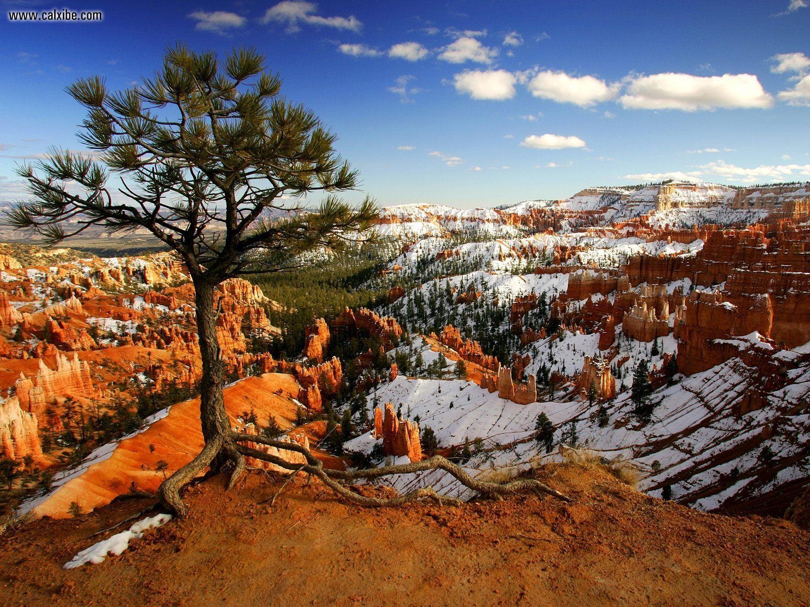 1600x1200 Nature: Aloneonthe Rim Bryce Canyon National Park Utah, picture nr, Desktop