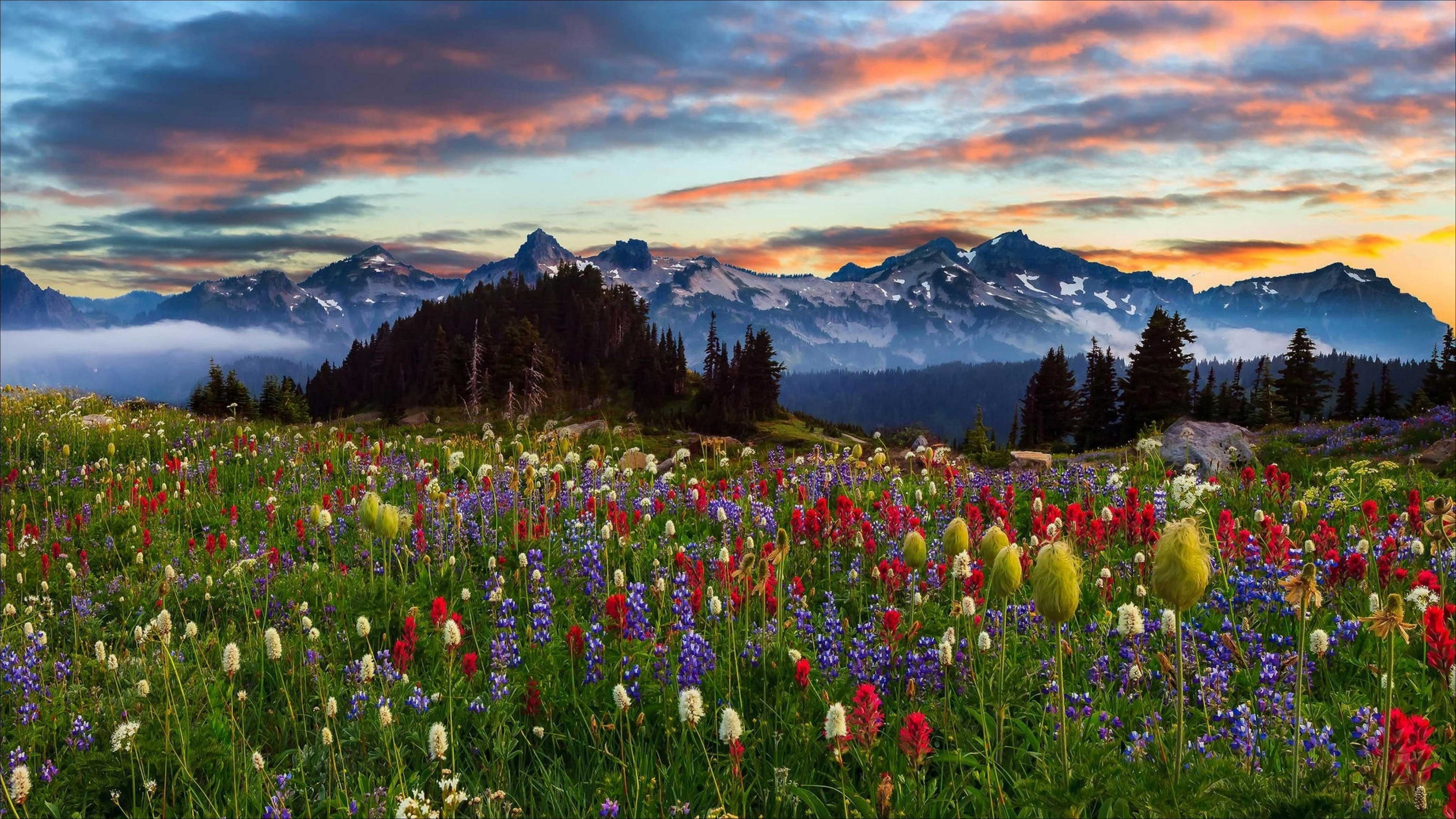 4230x2380 The How Far Is Mount Rainier National Park From Seattle Mount, Desktop