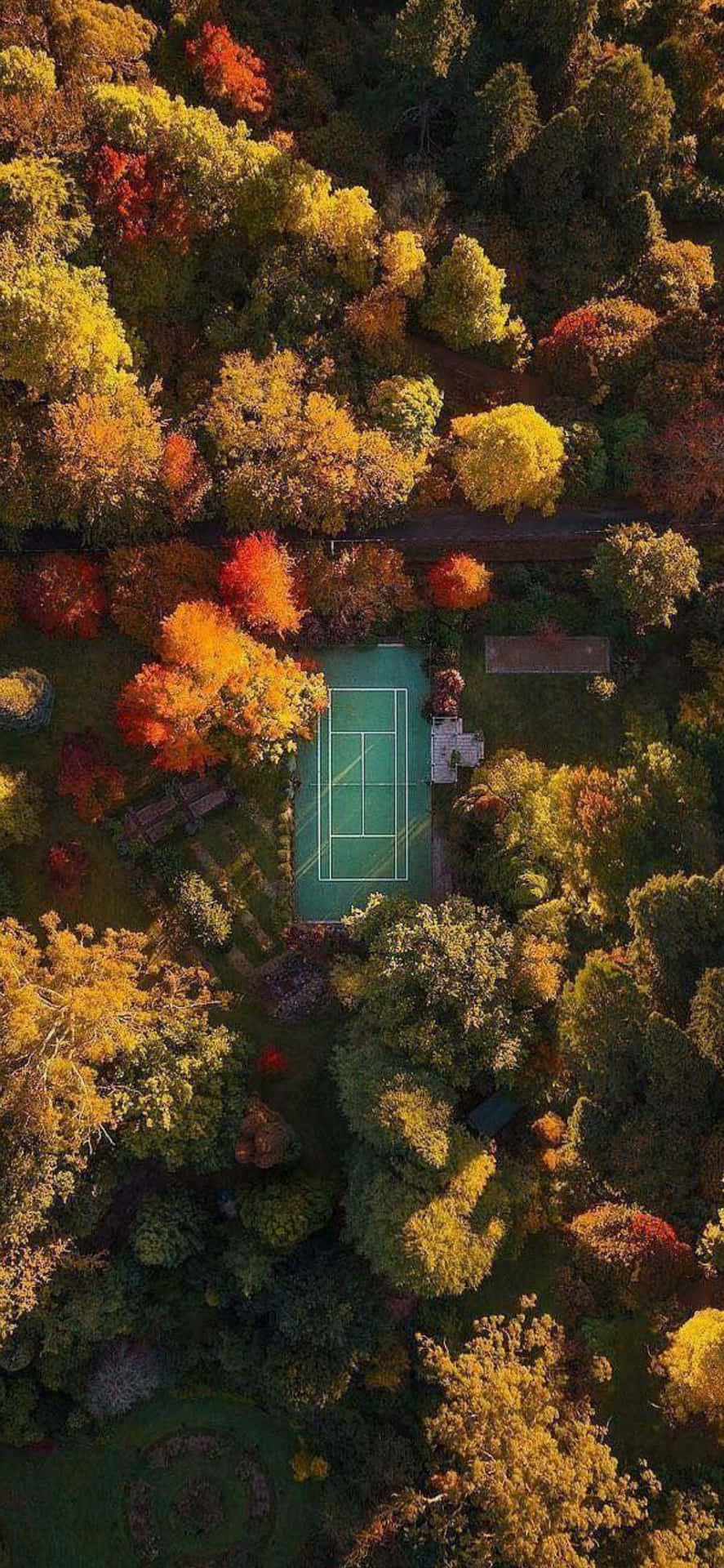 890x1920 Download iPhone Xs Tennis Background, Phone