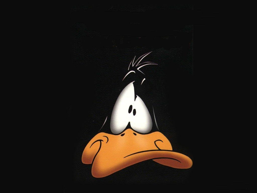 1030x770 Daffy Duck Widescreen Wallpaper 26175, Desktop